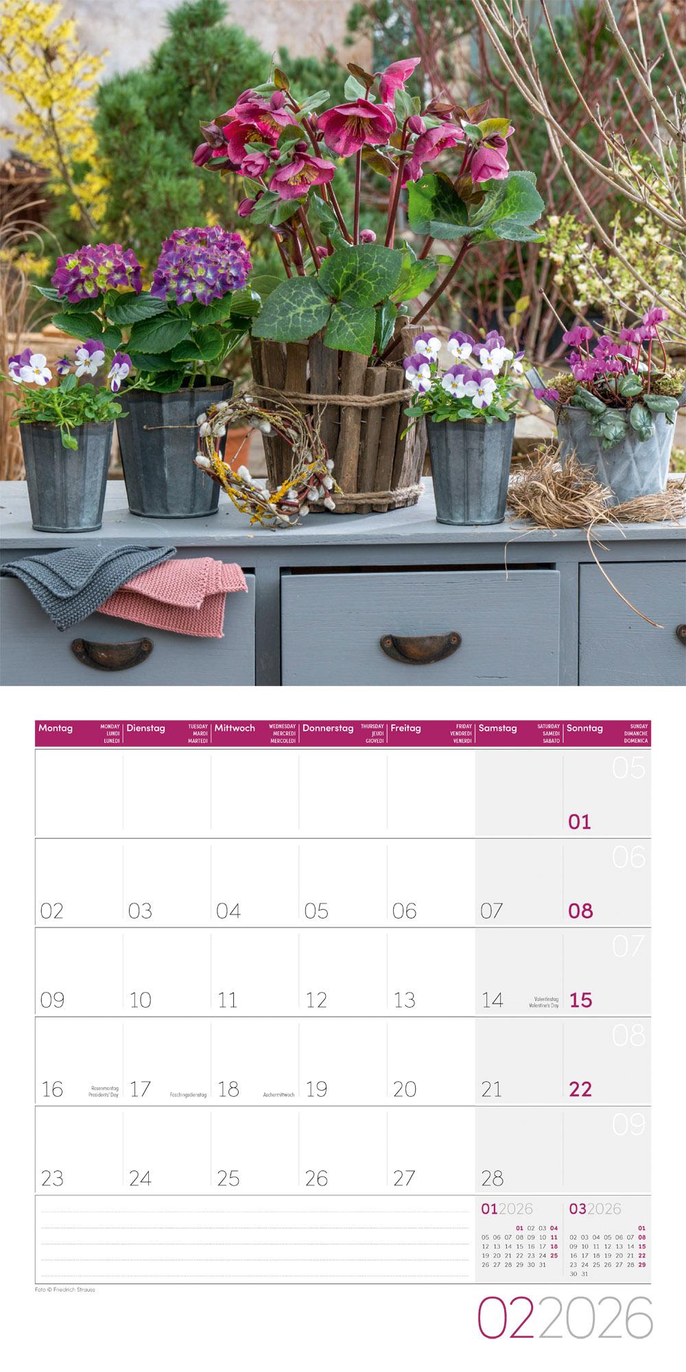 Beispielinhalt (Bild) Blumenzauber Broschürenkalender 2026 - 30x30 - Art12