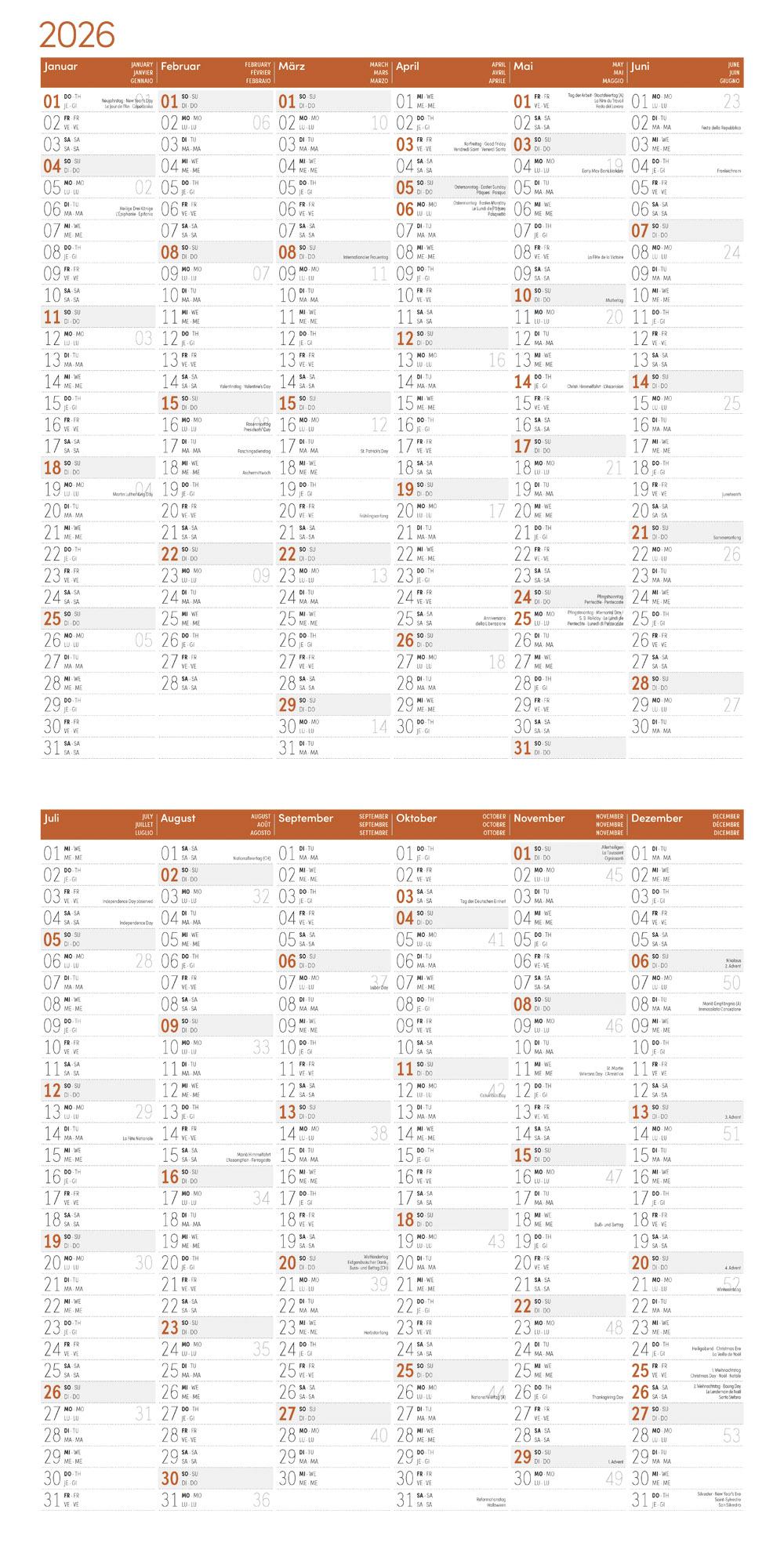 Beispielinhalt (Bild) Elefanten Broschürenkalender 2026 - 30x30 - Art12