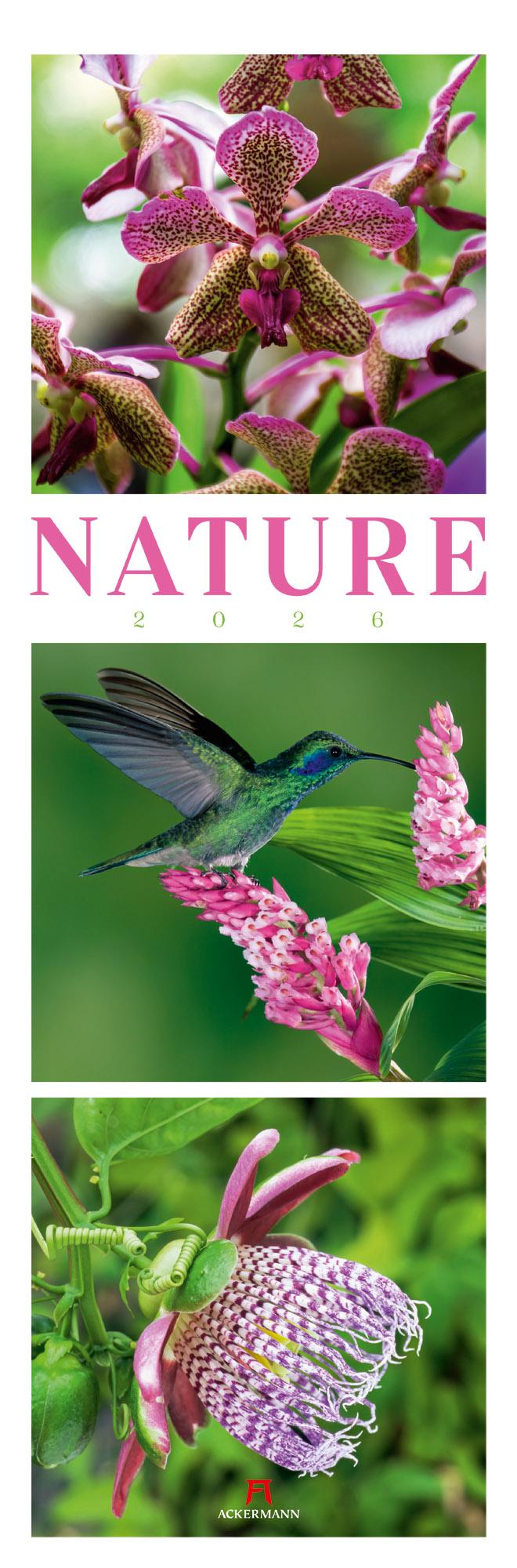 Vorderes Coverbild Nature Triplet-Kalender 2026