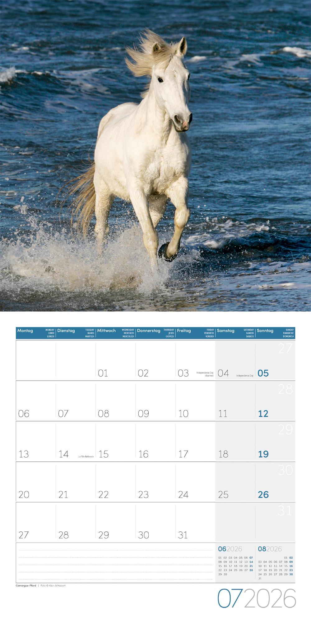 Beispielinhalt (Bild) Pferde Broschürenkalender 2026 - 30x30 - Art12