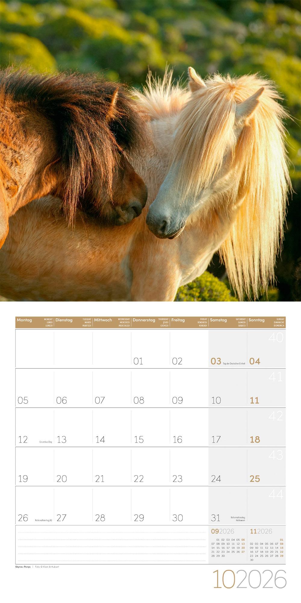 Beispielinhalt (Bild) Pferde Broschürenkalender 2026 - 30x30 - Art12