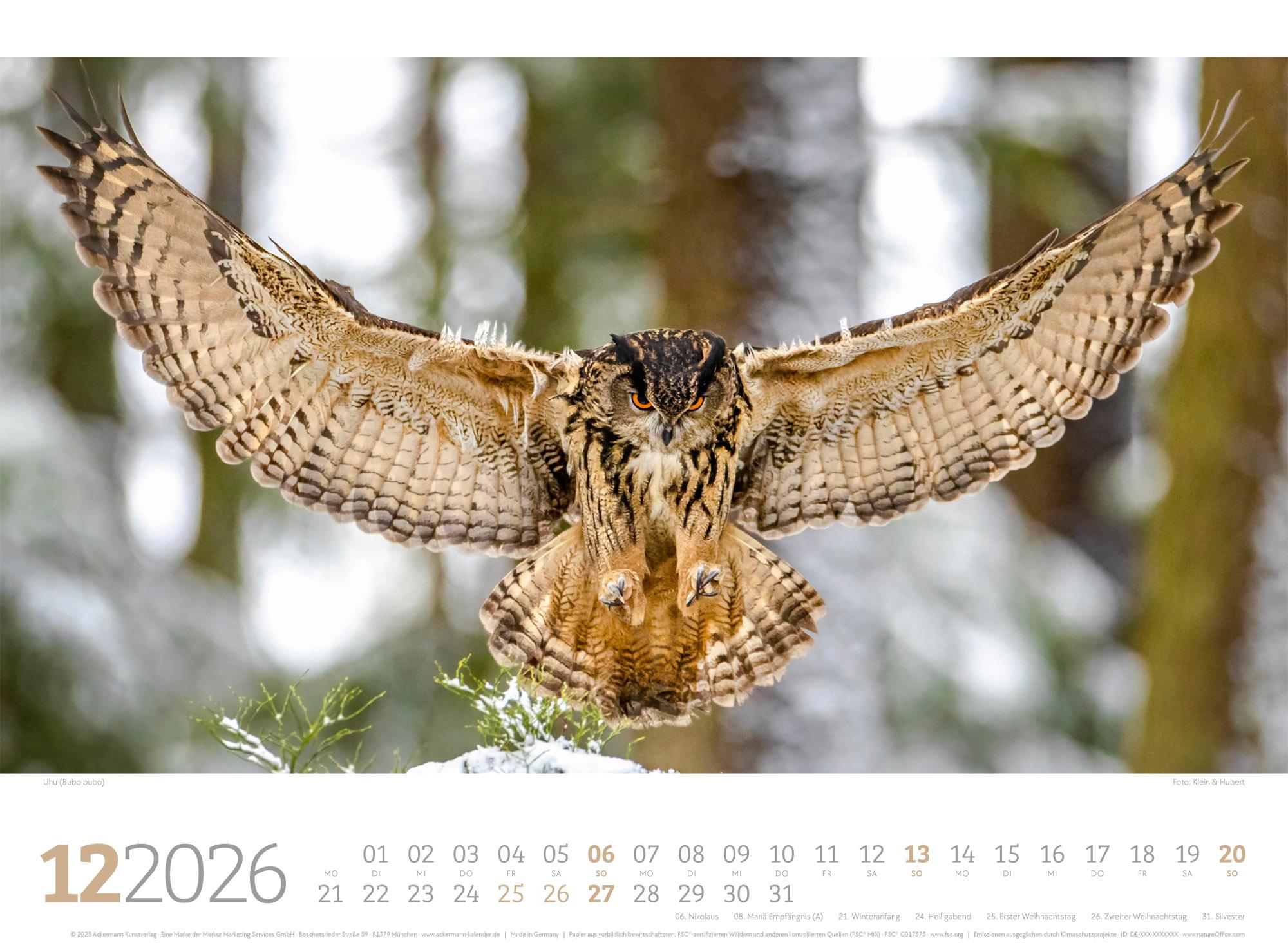 Beispielinhalt (Bild) Tierwelt Wald Kalender 2026