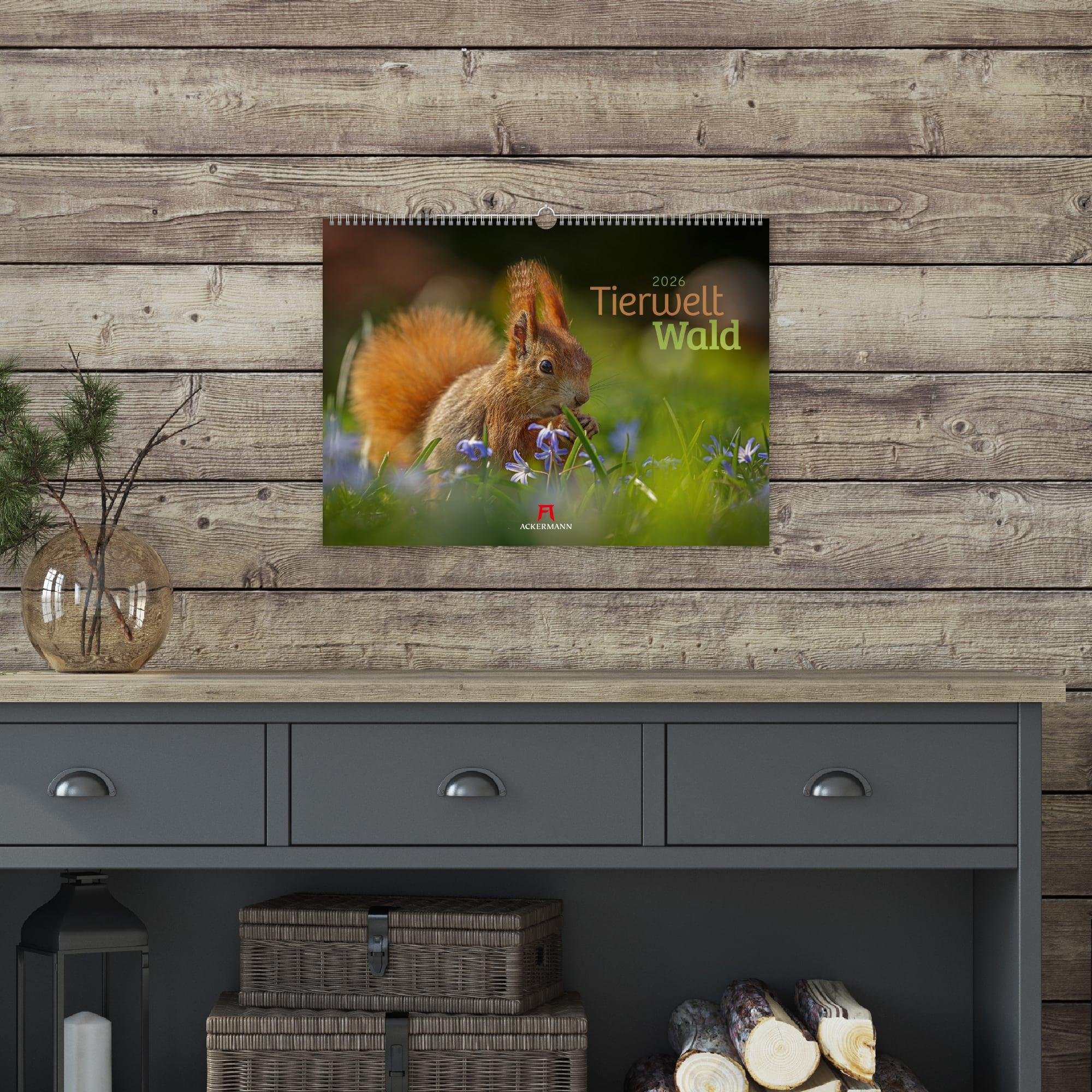 Beispielinhalt (Bild) Tierwelt Wald Kalender 2026