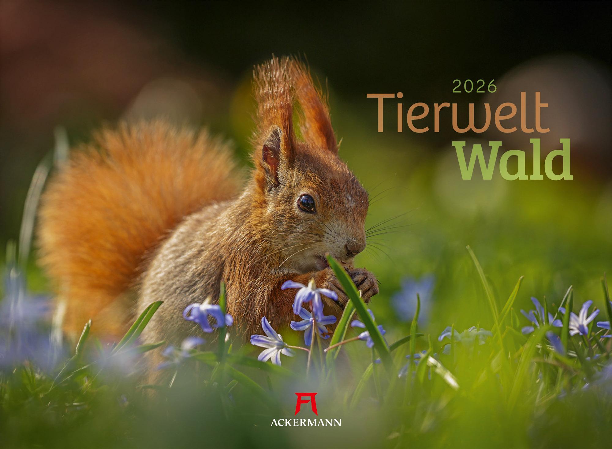 Vorderes Coverbild Tierwelt Wald Kalender 2026