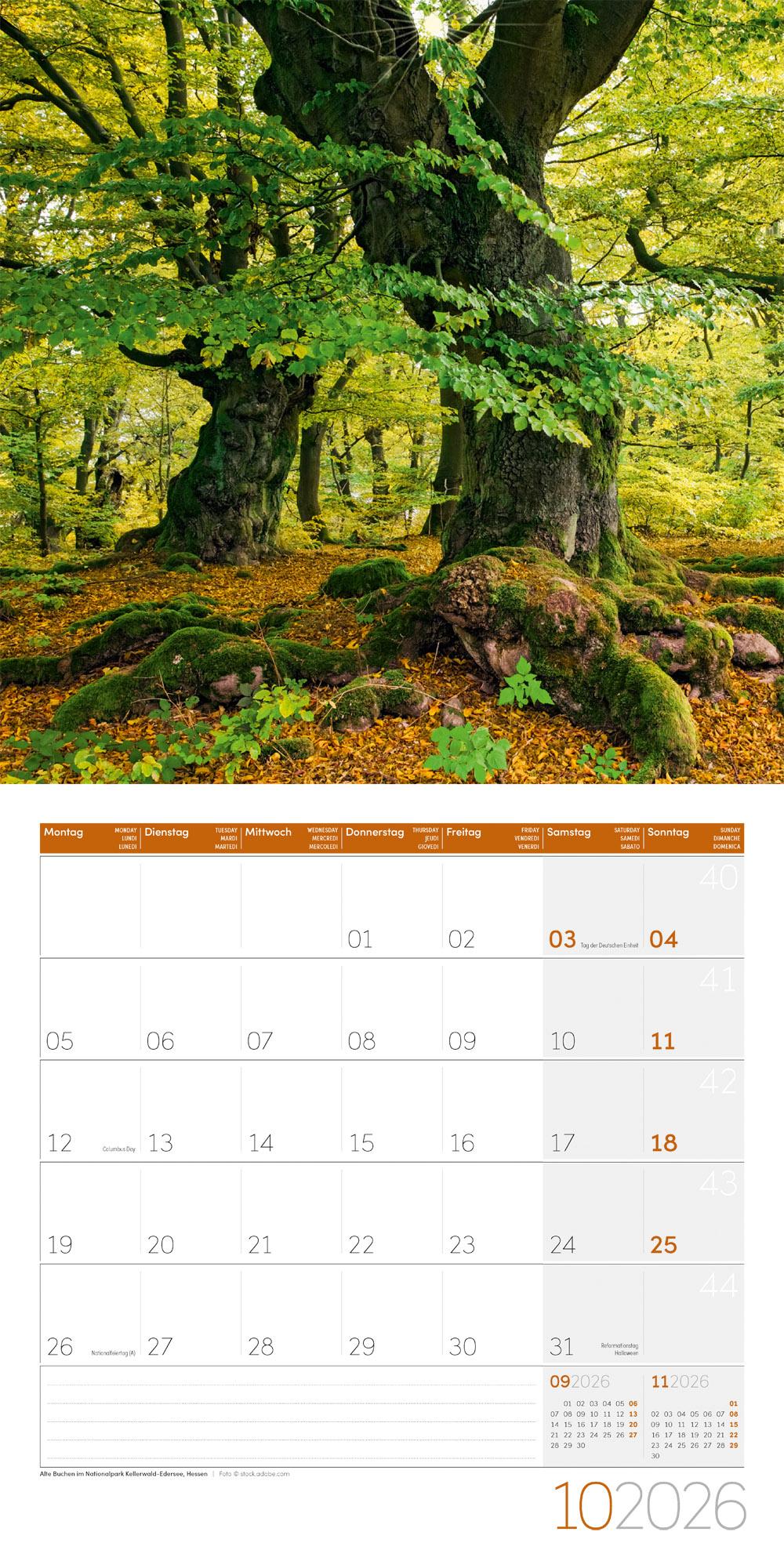 Beispielinhalt (Bild) Naturwunder Deutschland Broschürenkalender 2026 - 30x30 - Art12