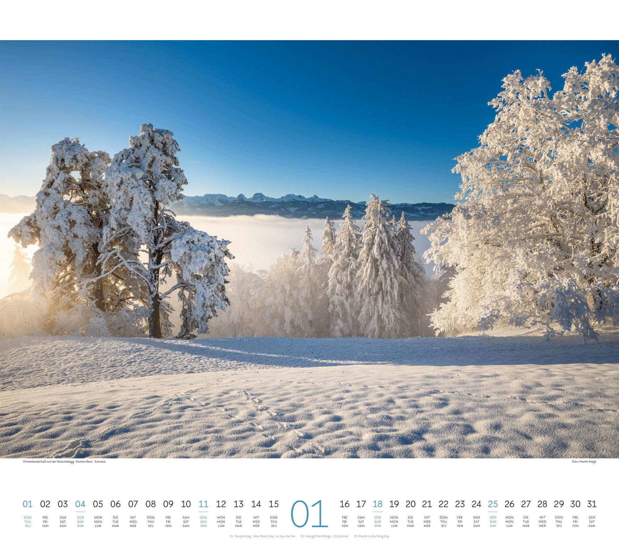Beispielinhalt (Bild) Wald Kalender 2026