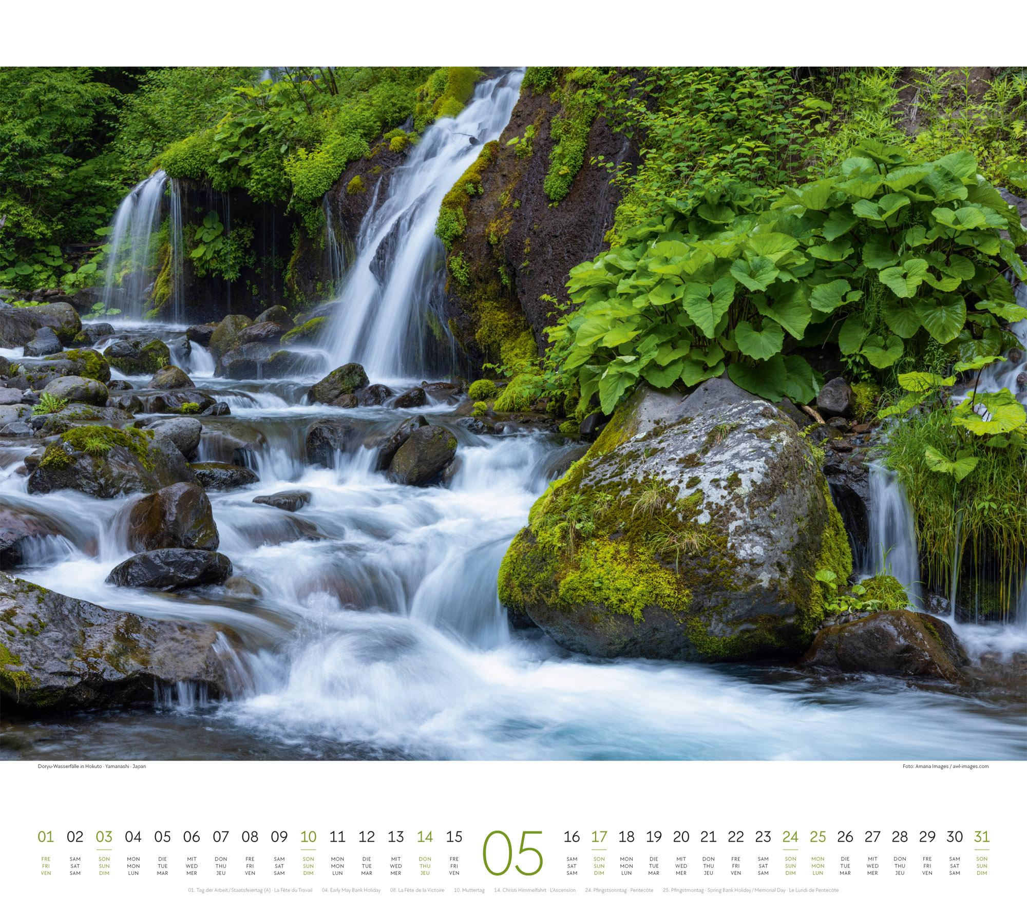 Beispielinhalt (Bild) Wald Kalender 2026