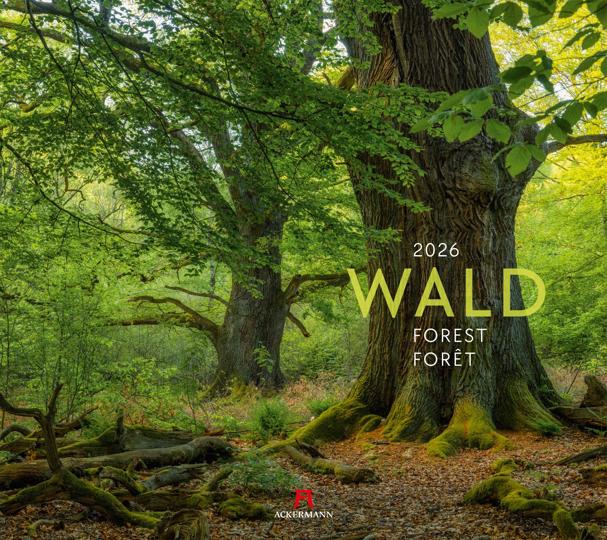 Vorderes Coverbild Wald Kalender 2026