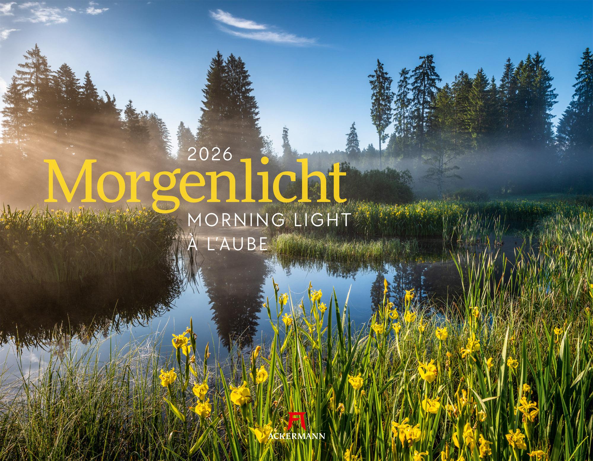 Vorderes Coverbild Morgenlicht Kalender 2026