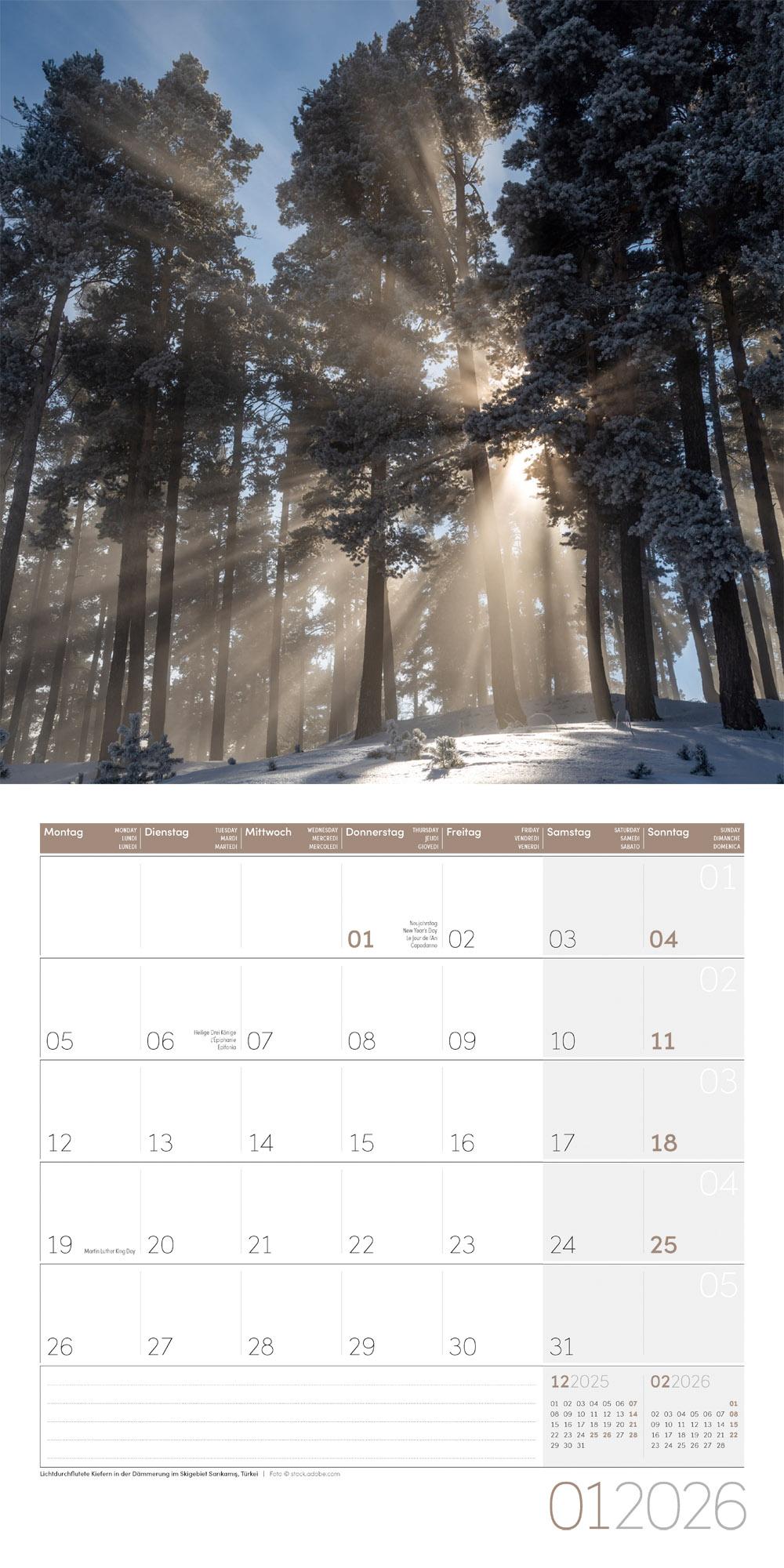 Beispielinhalt (Bild) Bäume Broschürenkalender 2026 - 30x30 - Art12