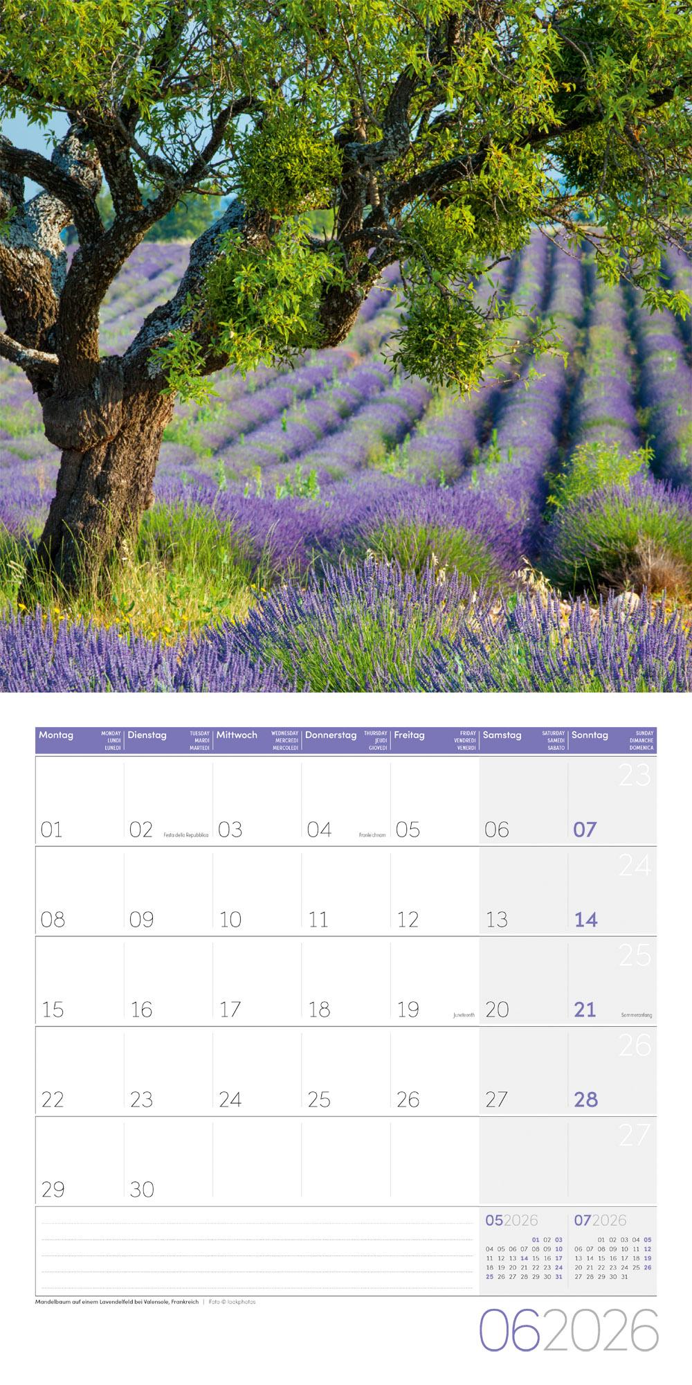 Beispielinhalt (Bild) Bäume Broschürenkalender 2026 - 30x30 - Art12