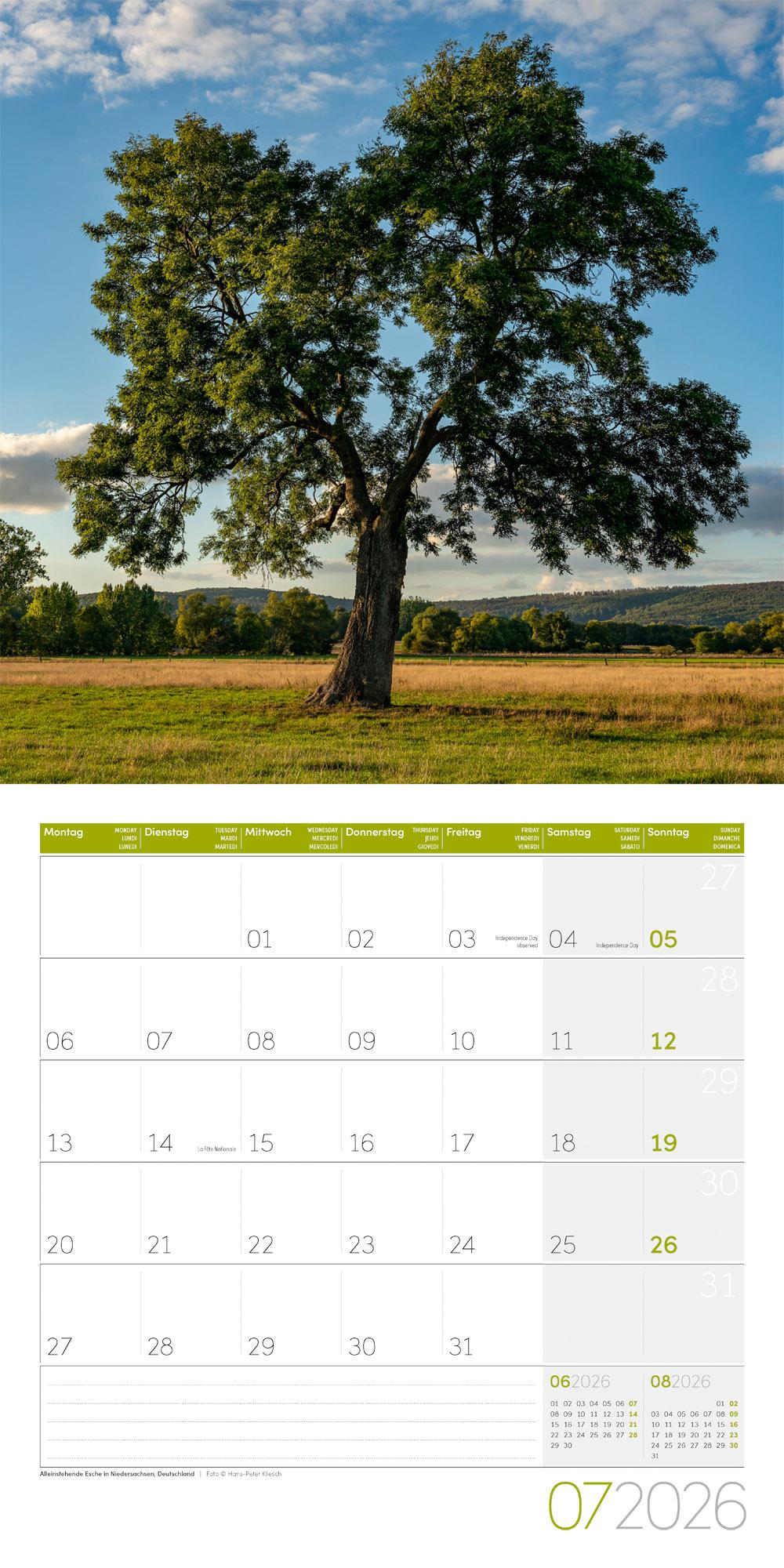 Beispielinhalt (Bild) Bäume Broschürenkalender 2026 - 30x30 - Art12