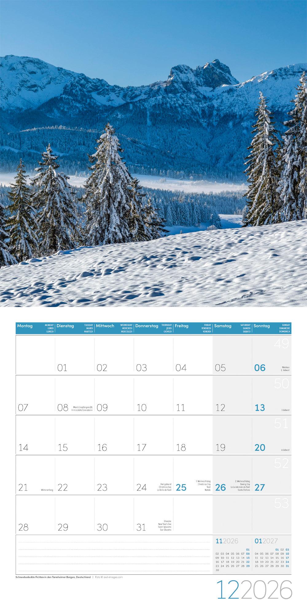 Beispielinhalt (Bild) Bäume Broschürenkalender 2026 - 30x30 - Art12