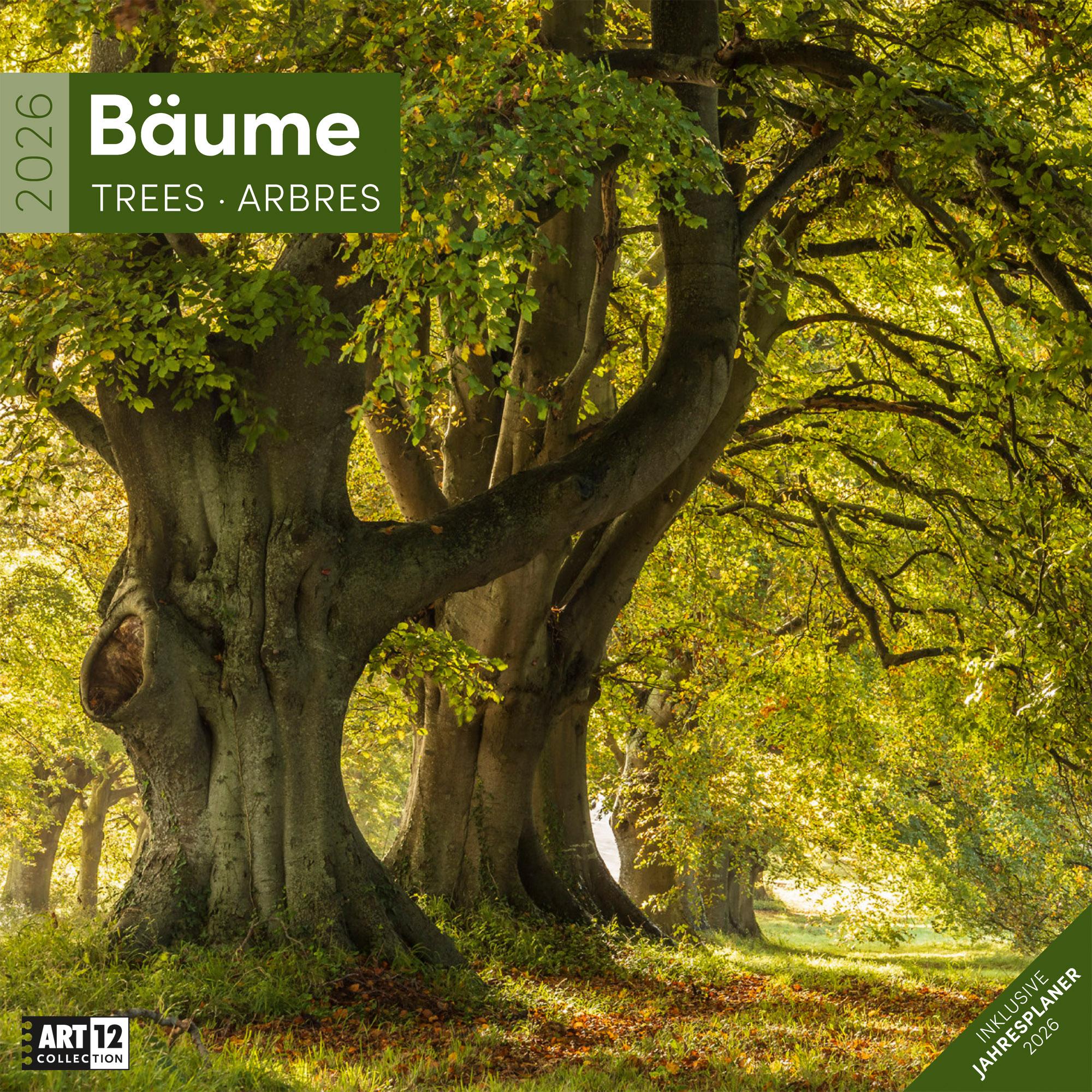 Vorderes Coverbild Bäume Broschürenkalender 2026 - 30x30 - Art12