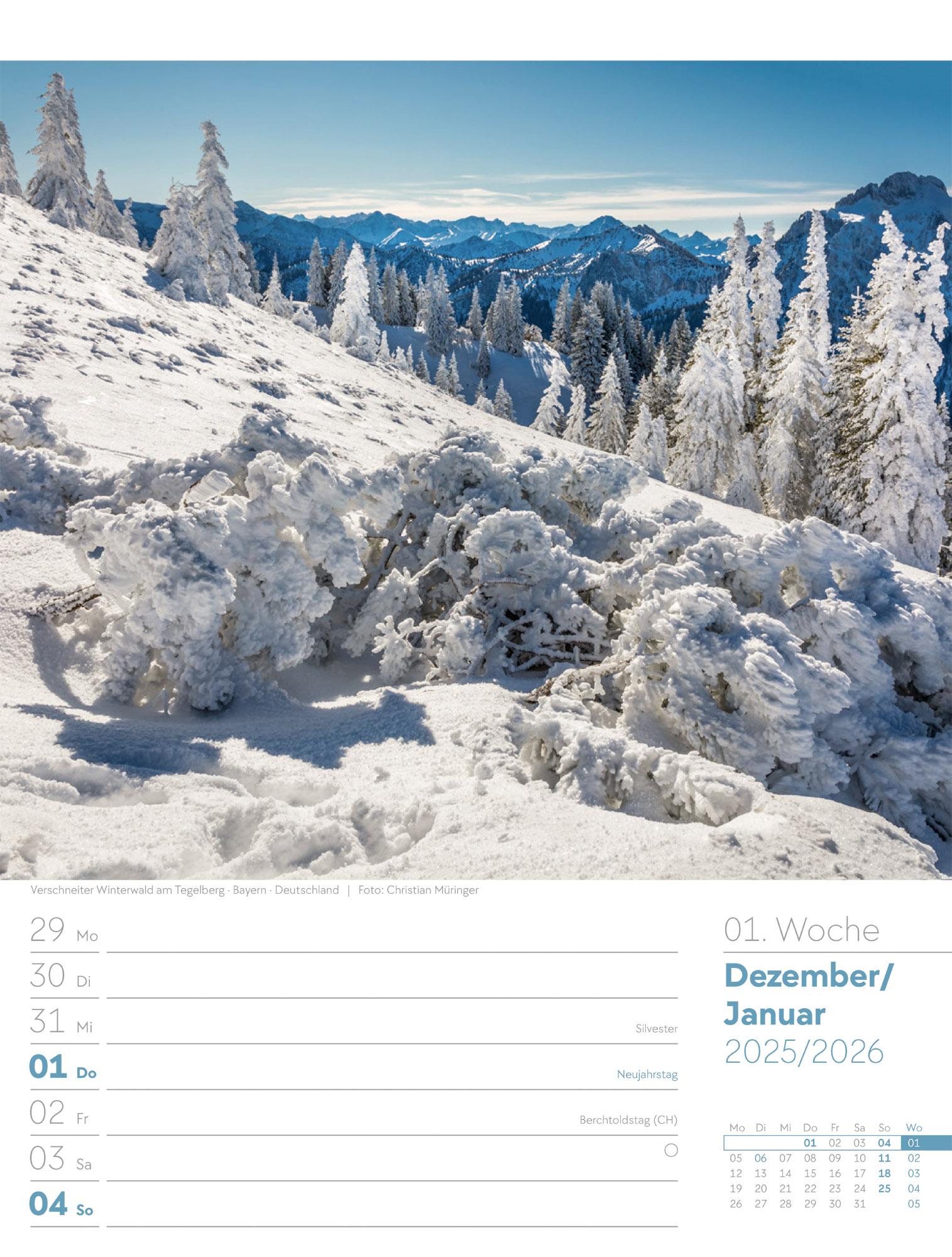 Beispielinhalt (Bild) Unser Wald Wochenplaner Kalender 2026