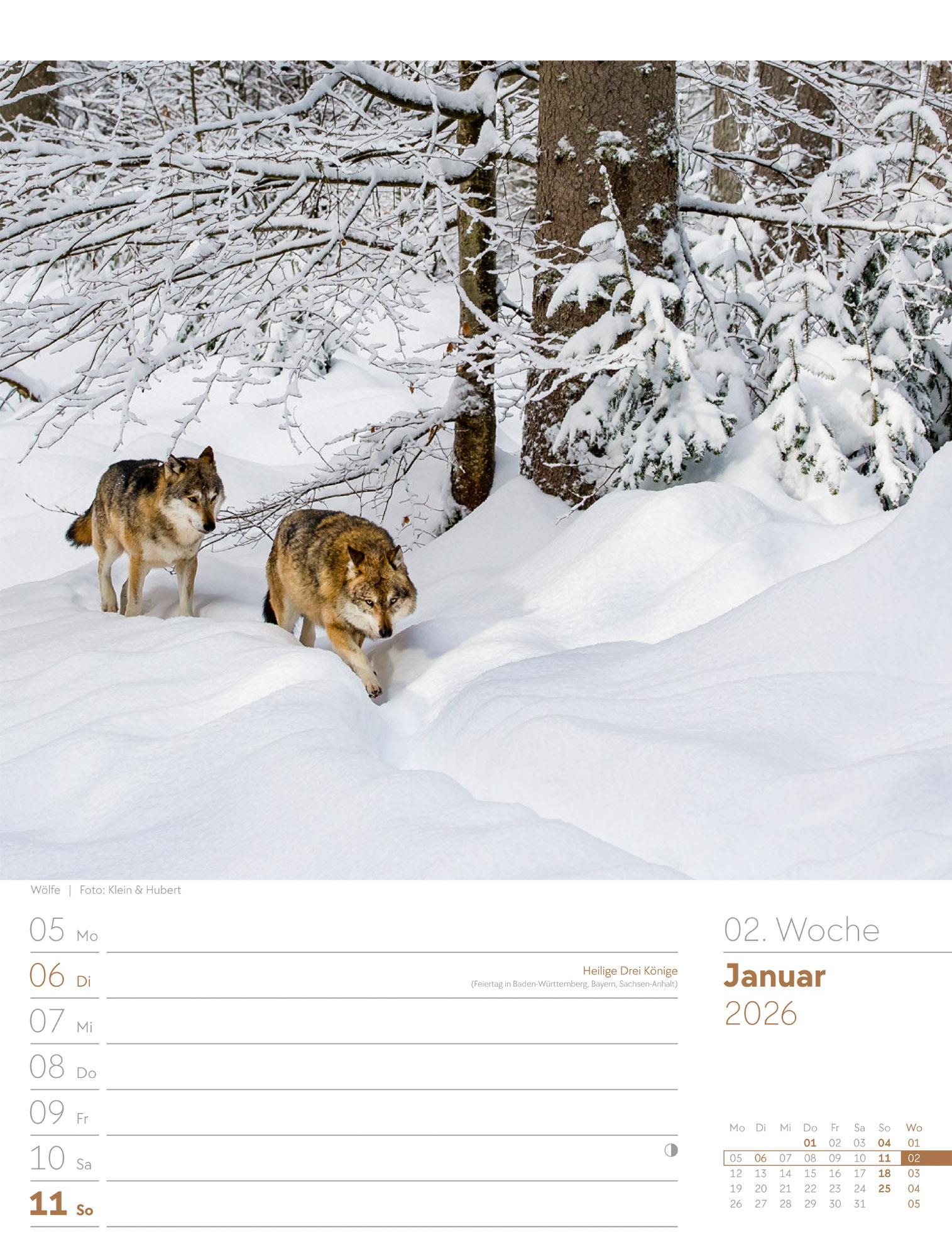 Beispielinhalt (Bild) Unser Wald Wochenplaner Kalender 2026