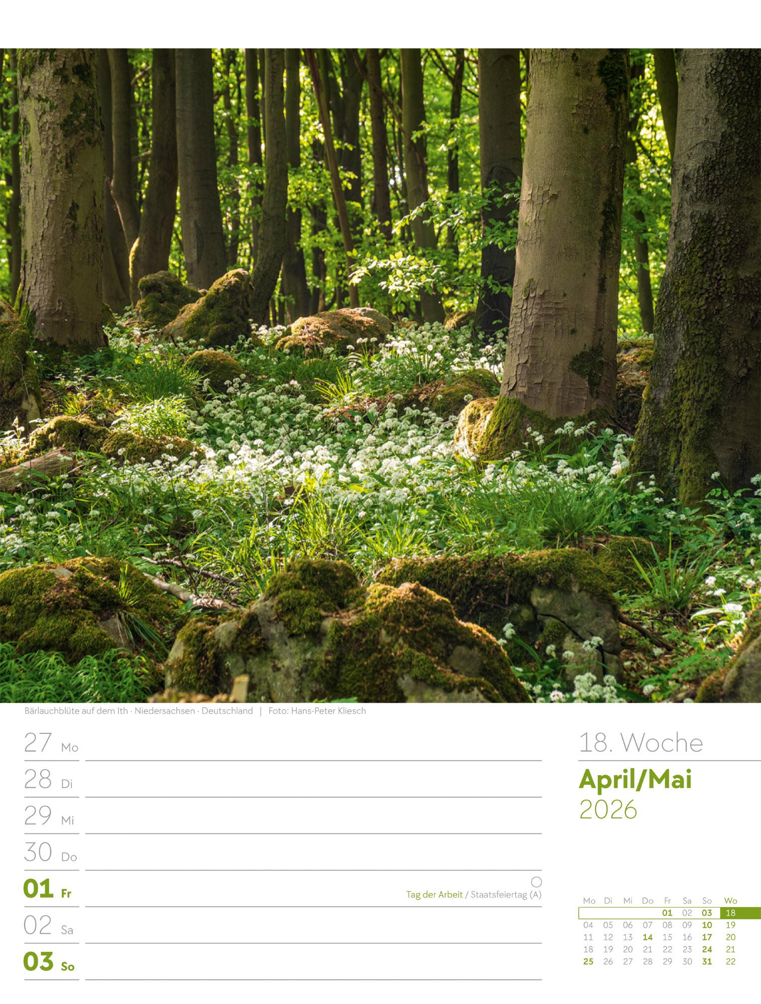 Beispielinhalt (Bild) Unser Wald Wochenplaner Kalender 2026