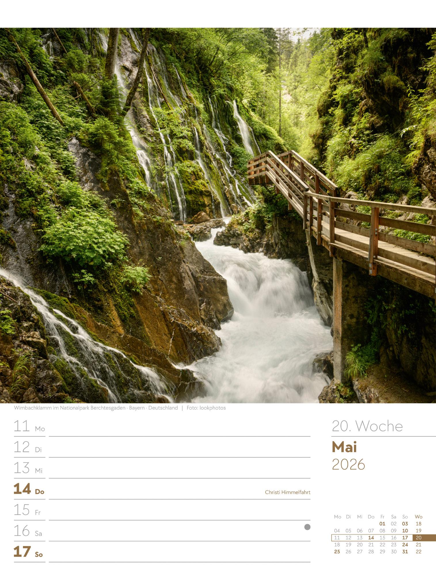 Beispielinhalt (Bild) Unser Wald Wochenplaner Kalender 2026