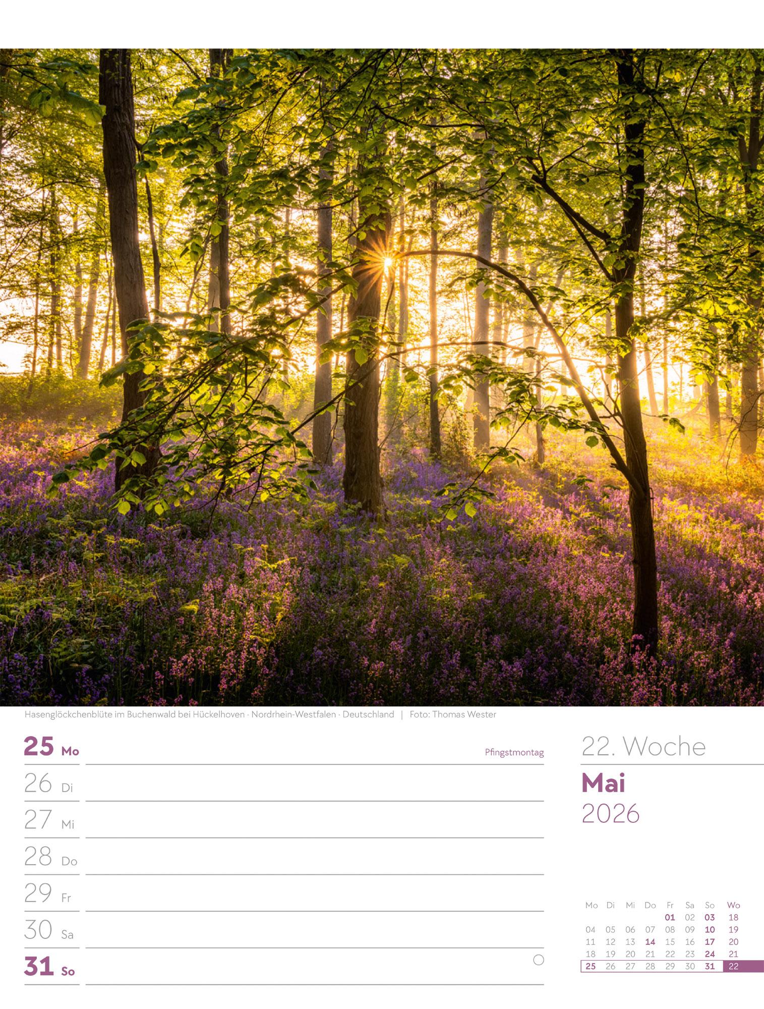 Beispielinhalt (Bild) Unser Wald Wochenplaner Kalender 2026