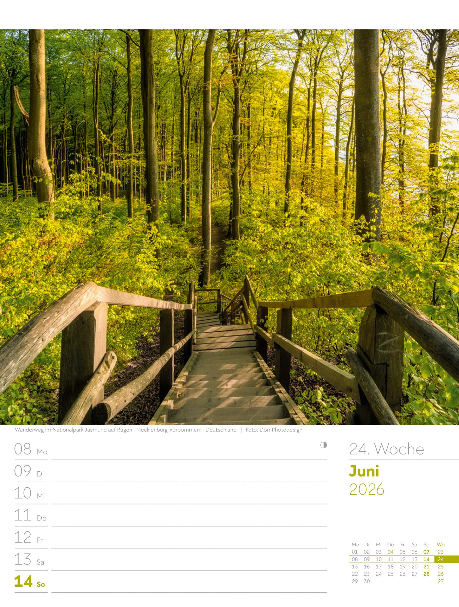 Beispielinhalt (Bild) Unser Wald Wochenplaner Kalender 2026