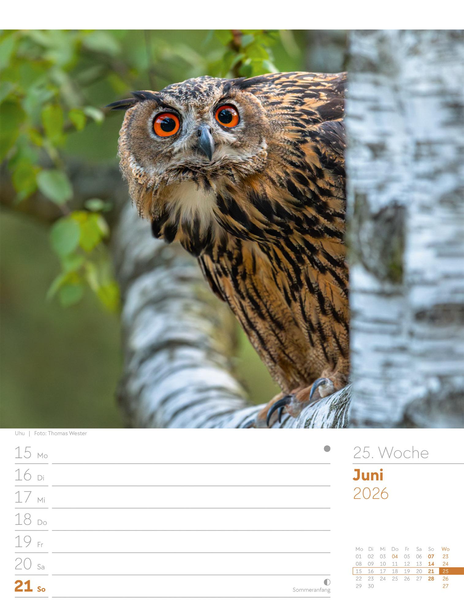 Beispielinhalt (Bild) Unser Wald Wochenplaner Kalender 2026