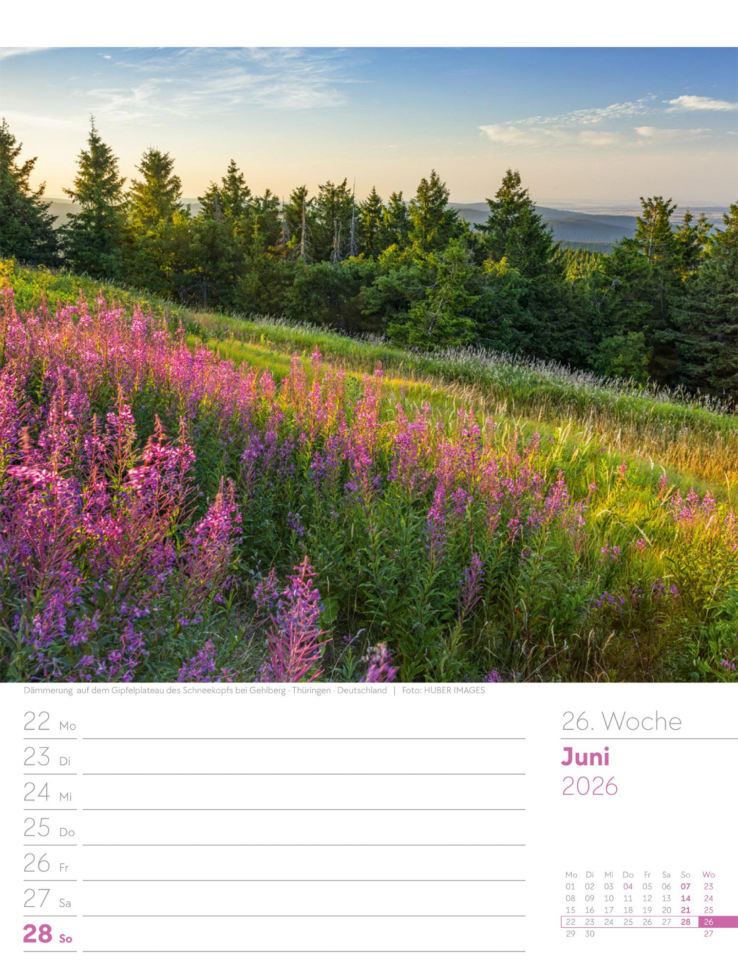 Beispielinhalt (Bild) Unser Wald Wochenplaner Kalender 2026