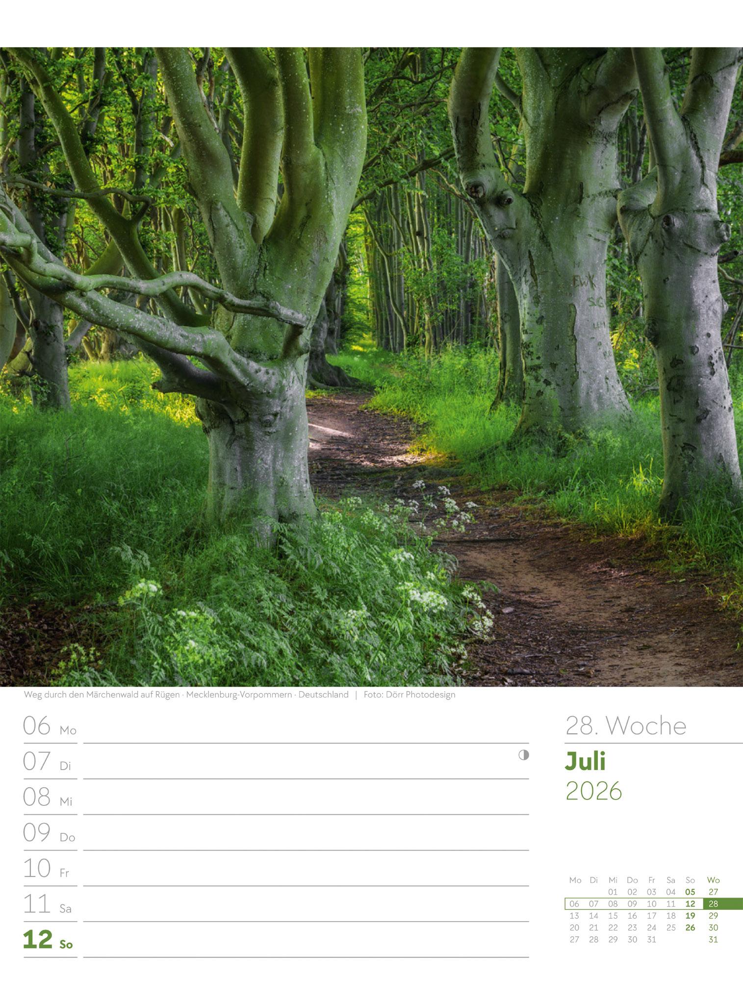 Beispielinhalt (Bild) Unser Wald Wochenplaner Kalender 2026