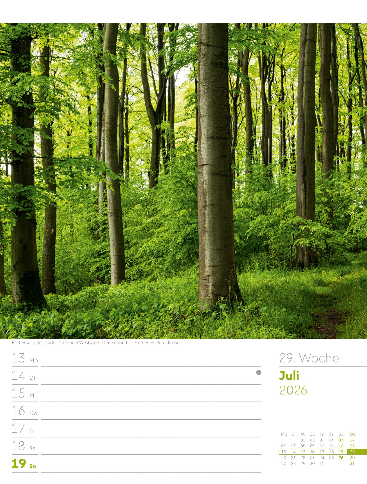 Beispielinhalt (Bild) Unser Wald Wochenplaner Kalender 2026