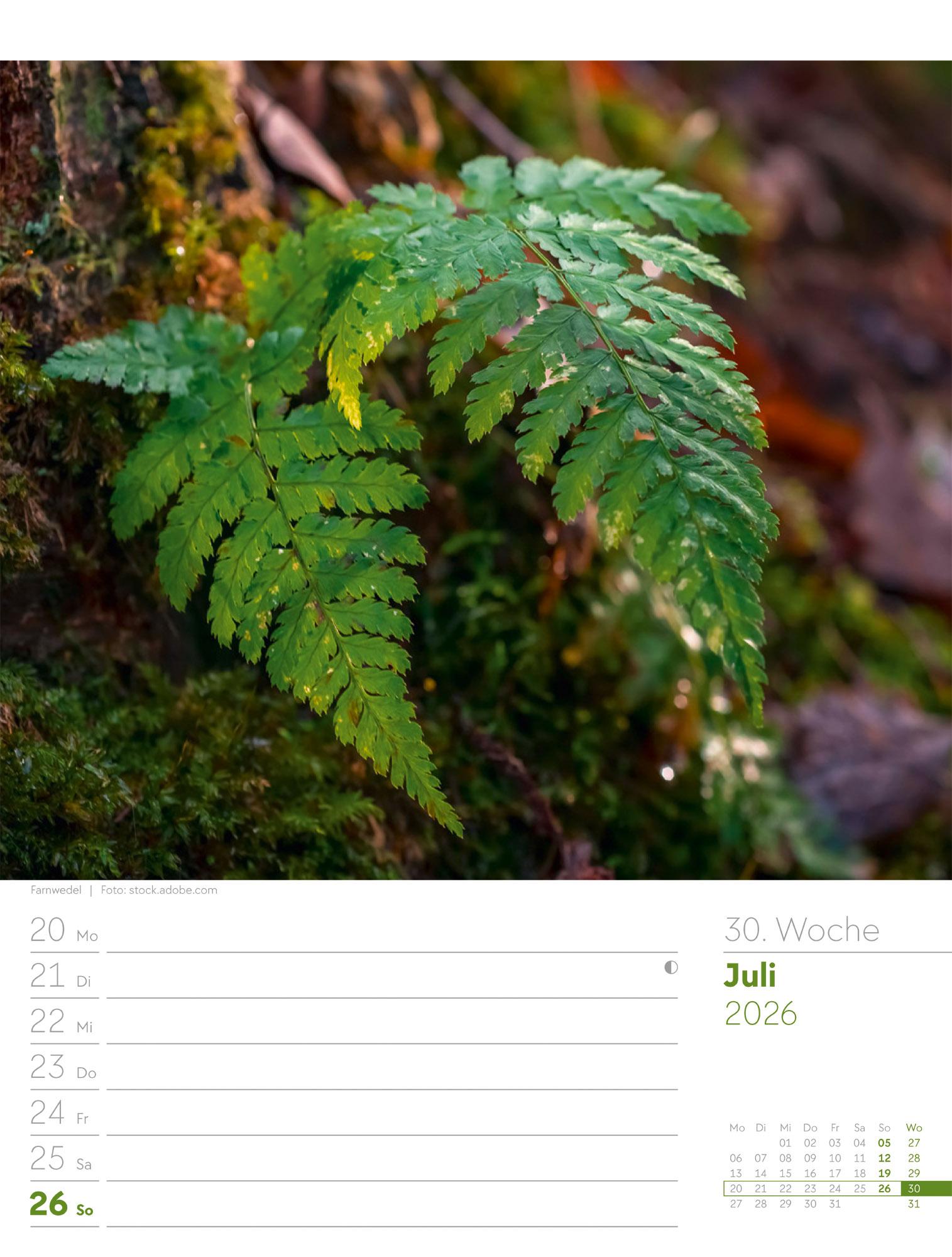 Beispielinhalt (Bild) Unser Wald Wochenplaner Kalender 2026