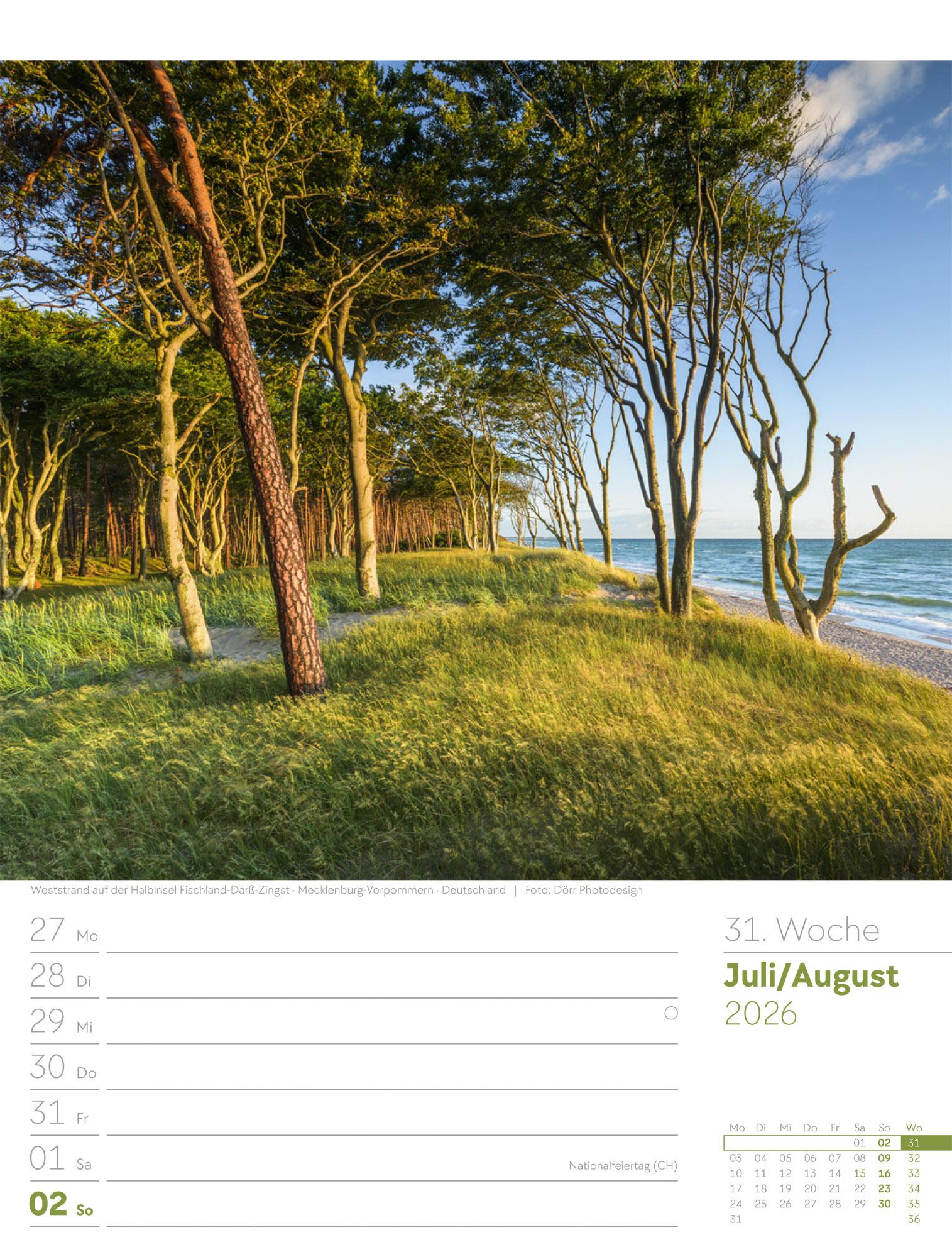 Beispielinhalt (Bild) Unser Wald Wochenplaner Kalender 2026