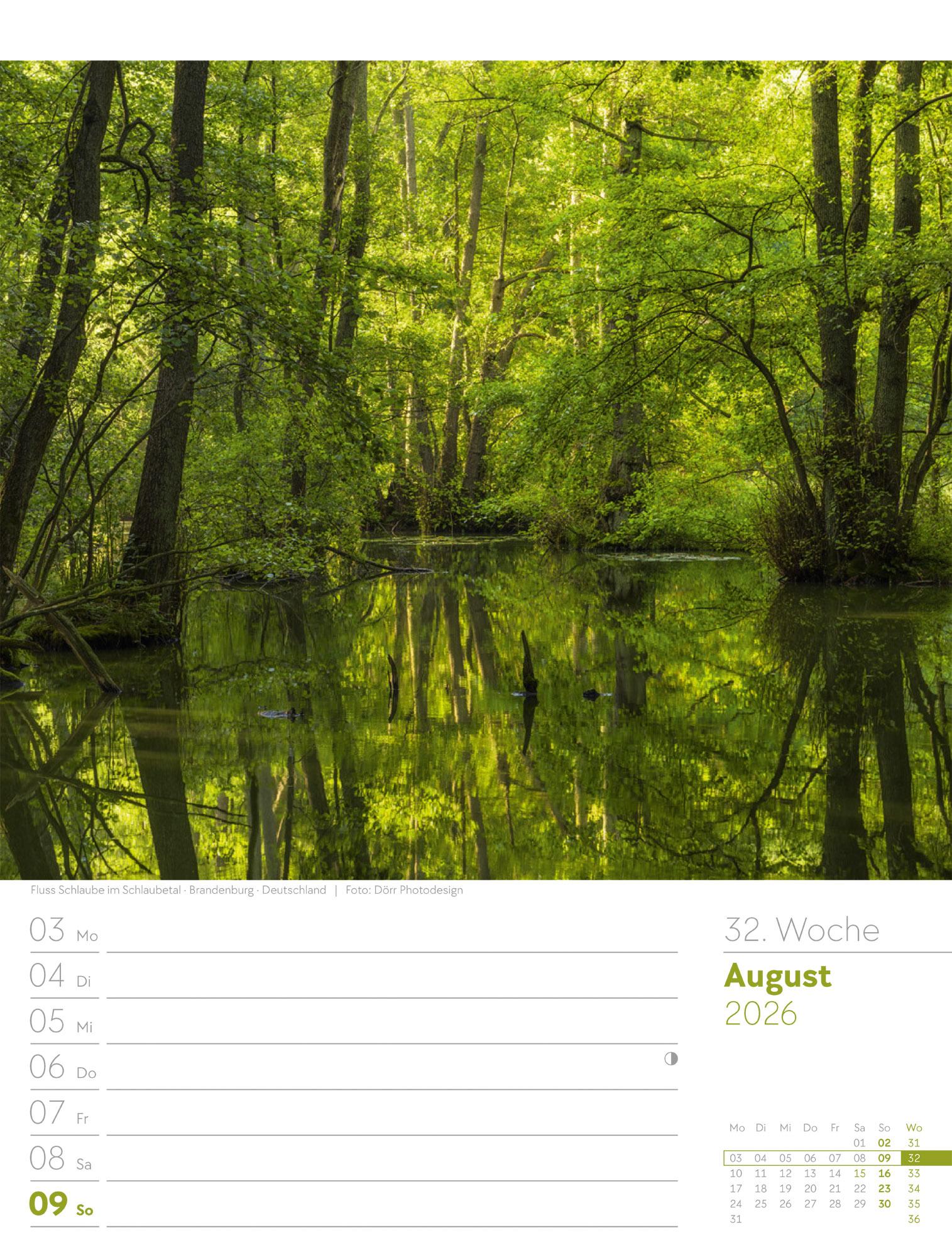 Beispielinhalt (Bild) Unser Wald Wochenplaner Kalender 2026