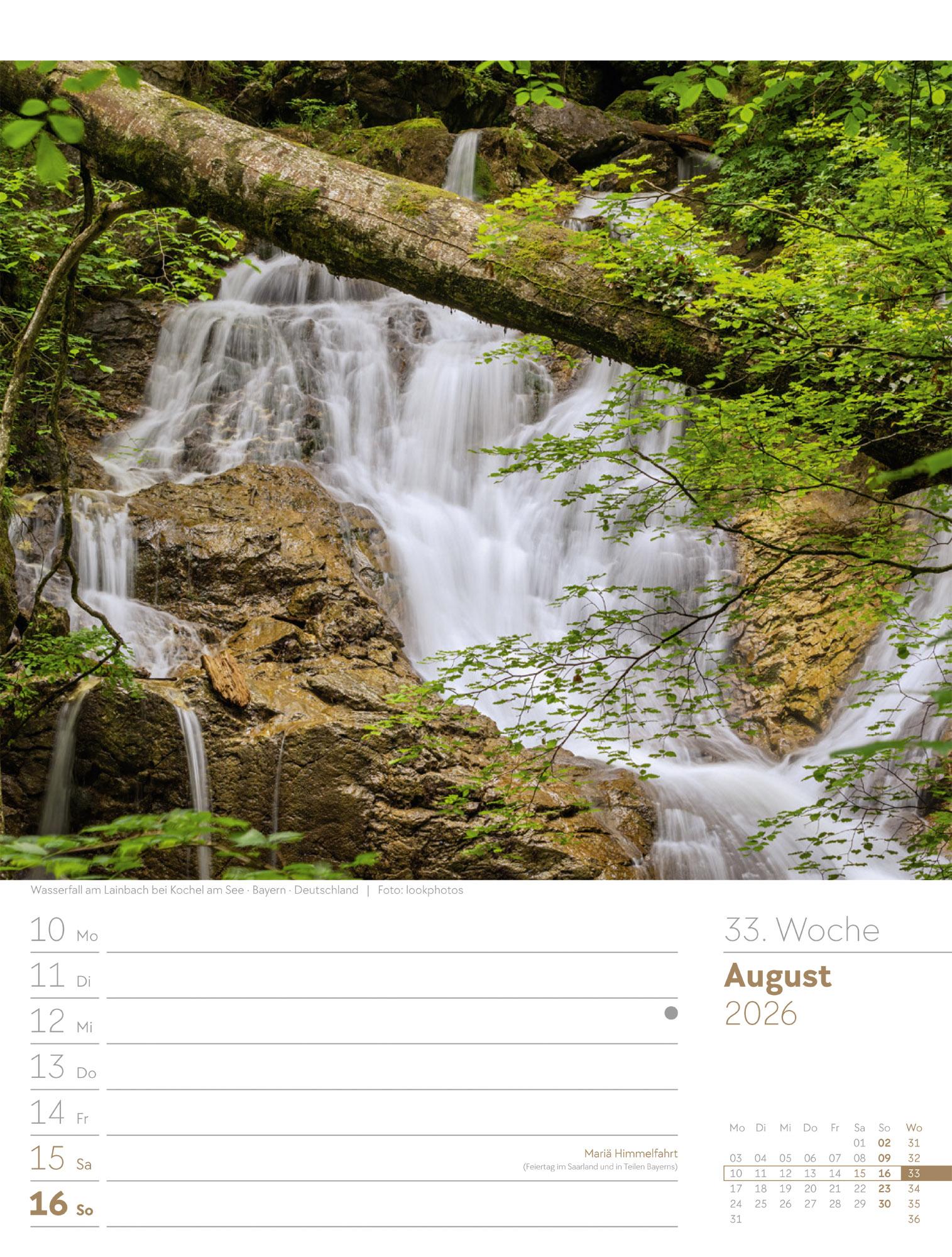 Beispielinhalt (Bild) Unser Wald Wochenplaner Kalender 2026