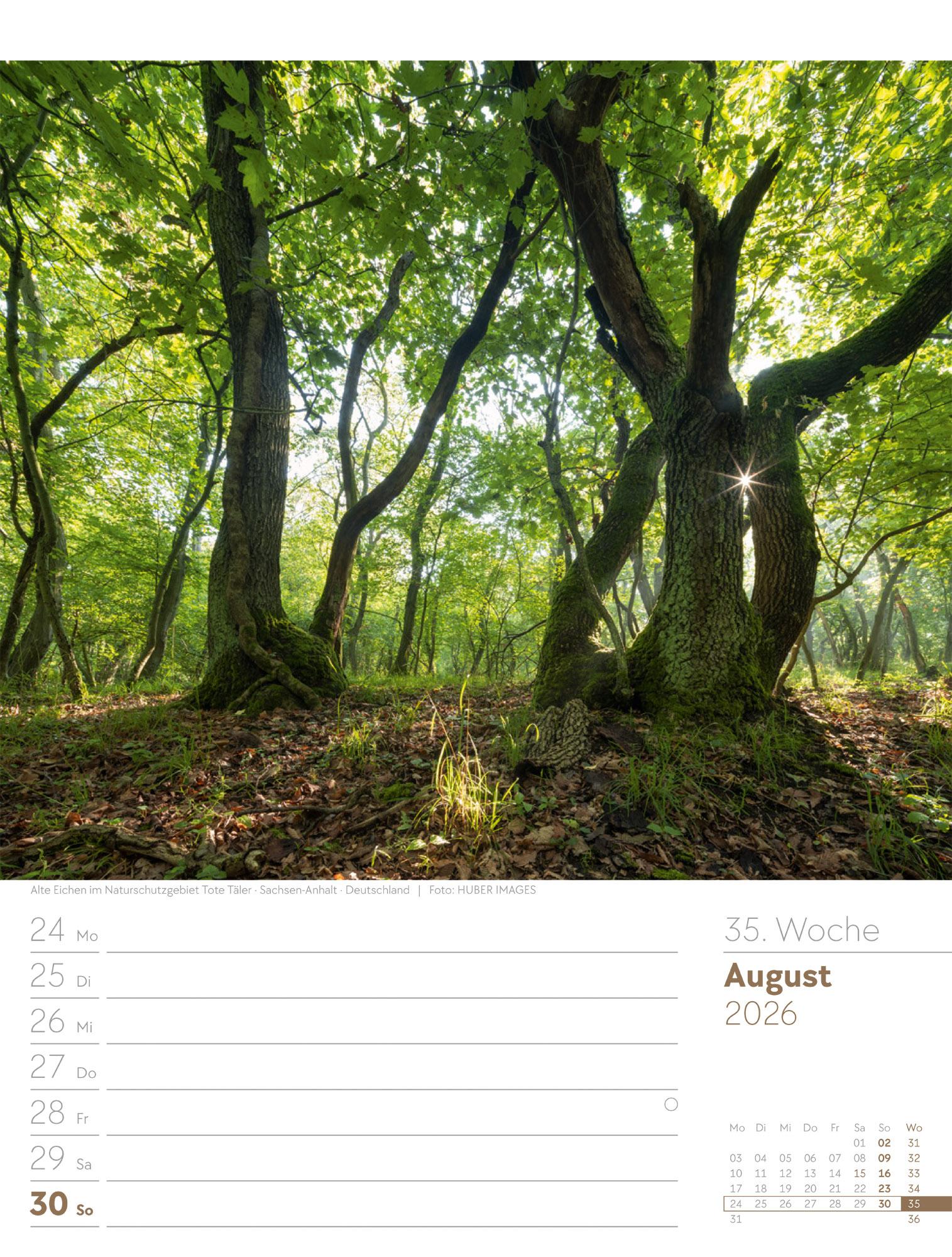Beispielinhalt (Bild) Unser Wald Wochenplaner Kalender 2026