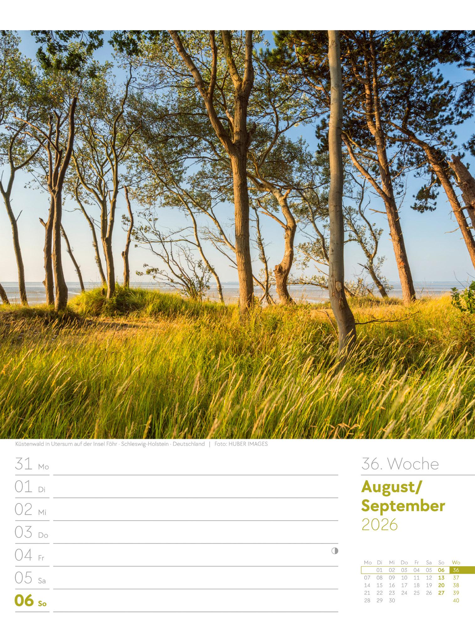 Beispielinhalt (Bild) Unser Wald Wochenplaner Kalender 2026