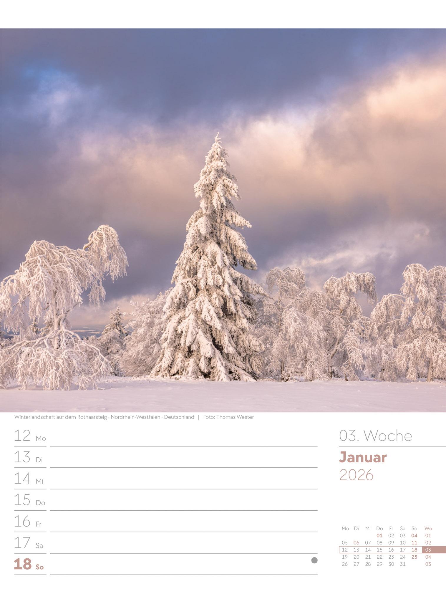 Beispielinhalt (Bild) Unser Wald Wochenplaner Kalender 2026