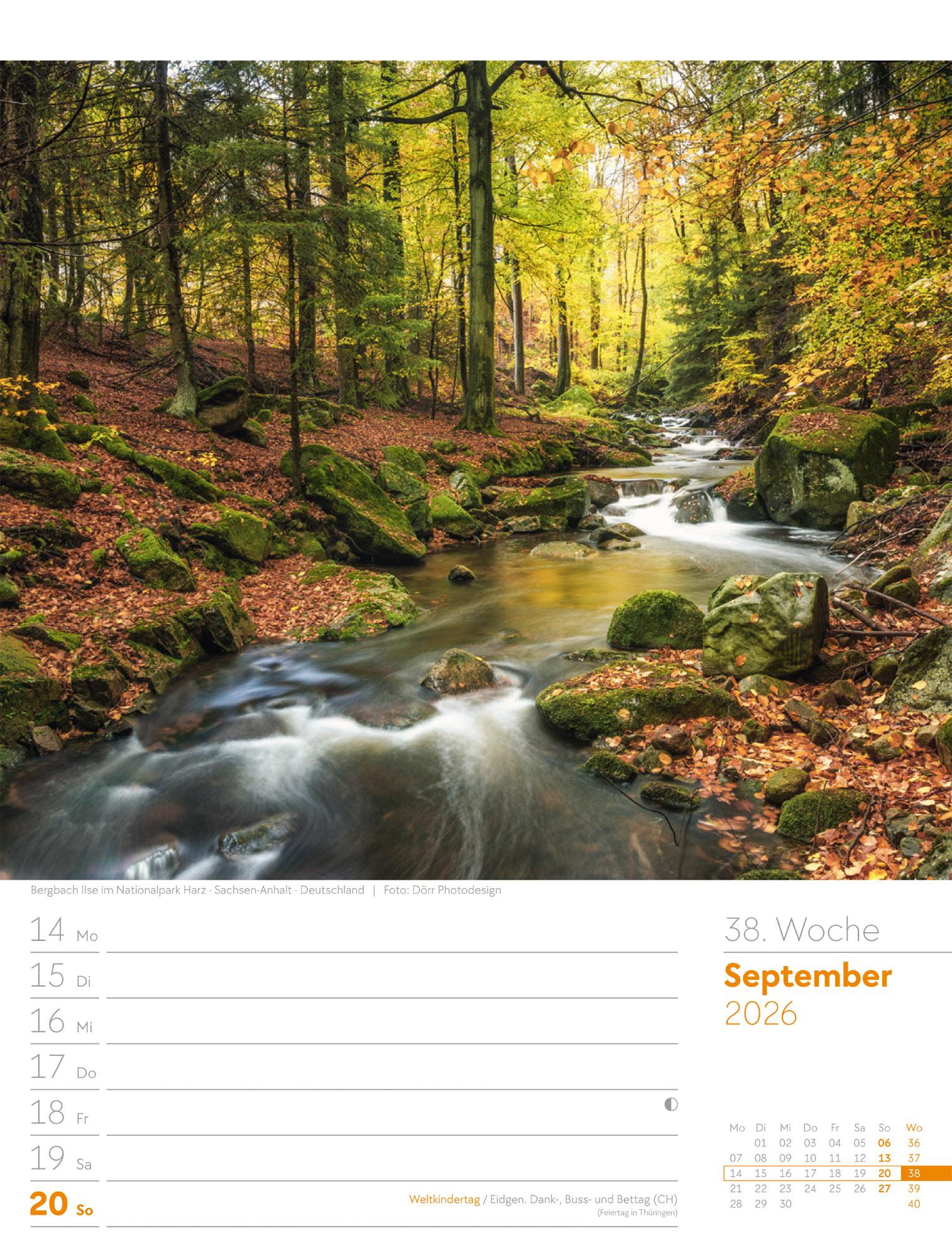 Beispielinhalt (Bild) Unser Wald Wochenplaner Kalender 2026