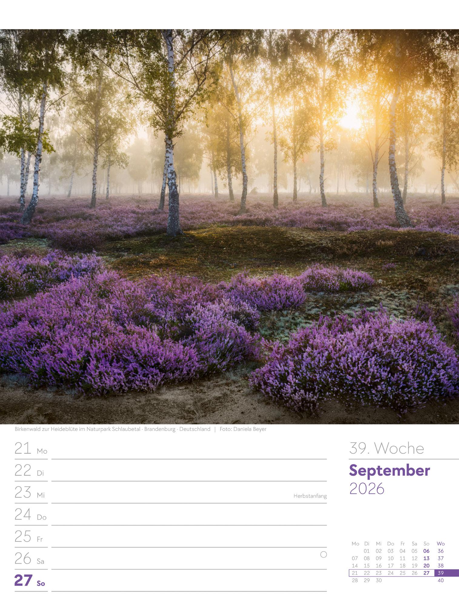 Beispielinhalt (Bild) Unser Wald Wochenplaner Kalender 2026