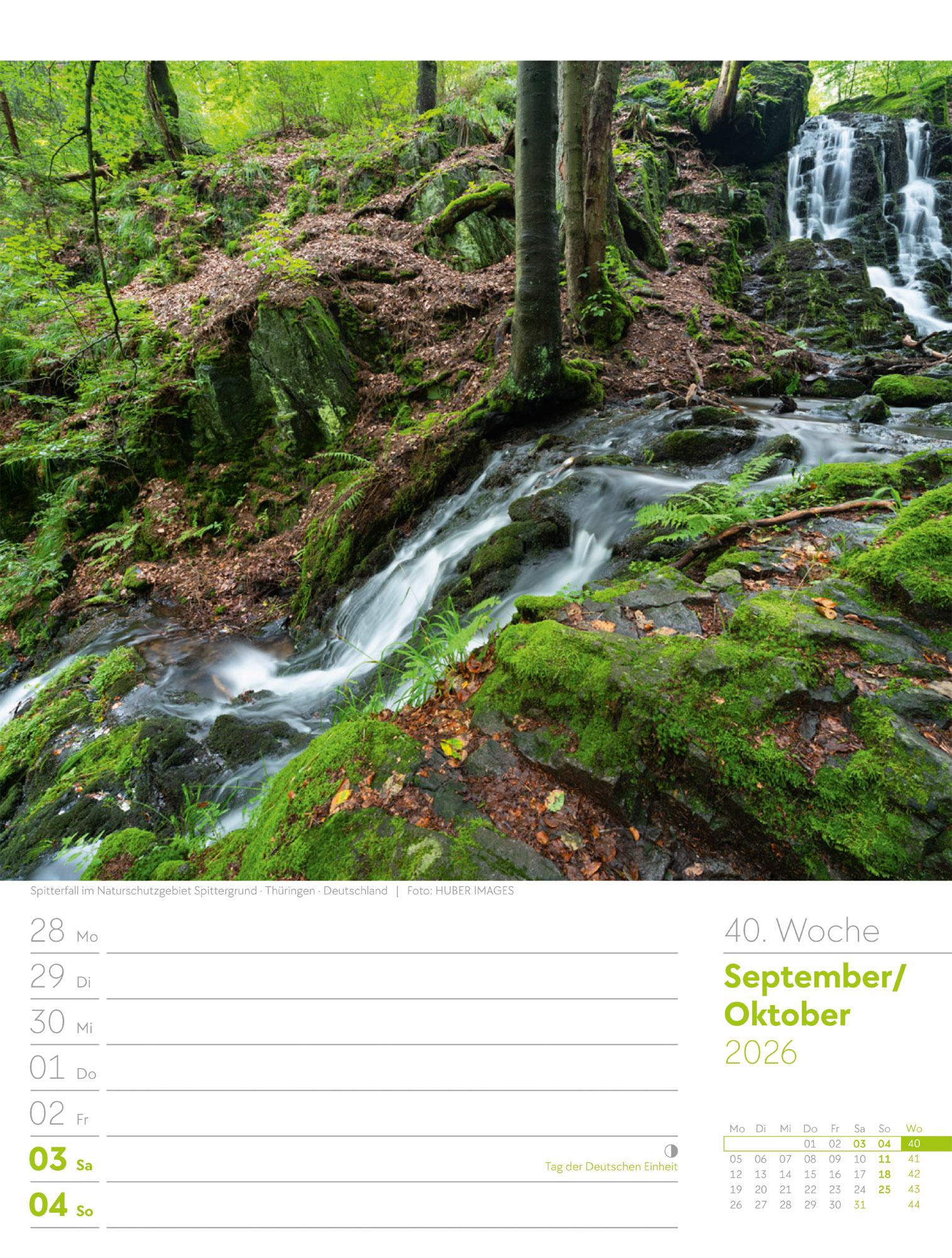 Beispielinhalt (Bild) Unser Wald Wochenplaner Kalender 2026