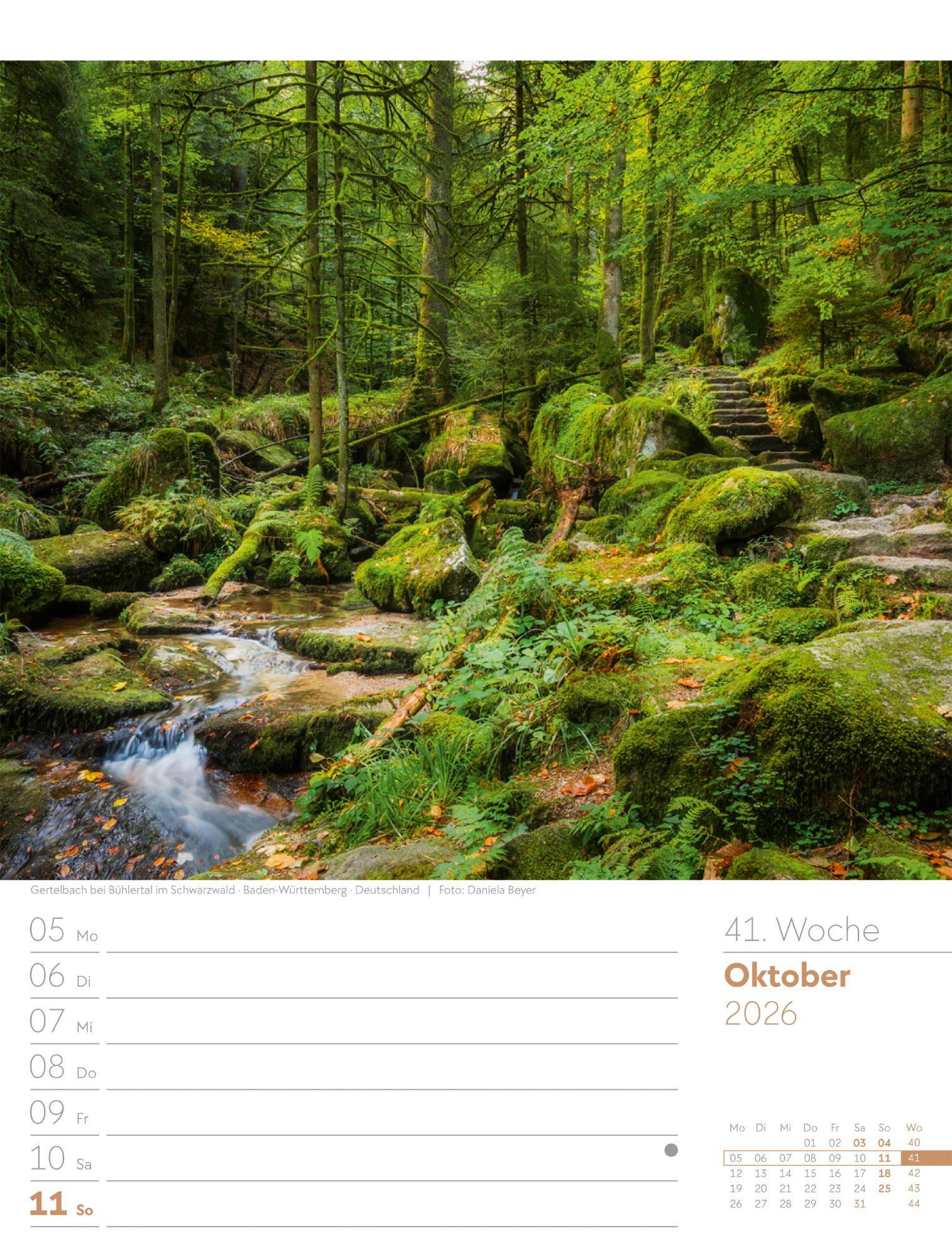 Beispielinhalt (Bild) Unser Wald Wochenplaner Kalender 2026