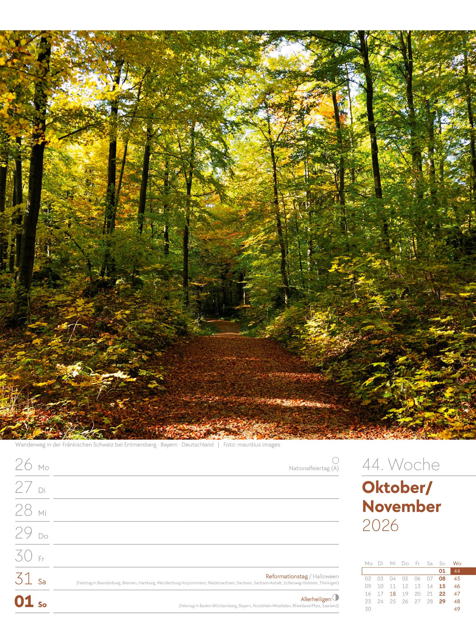 Beispielinhalt (Bild) Unser Wald Wochenplaner Kalender 2026