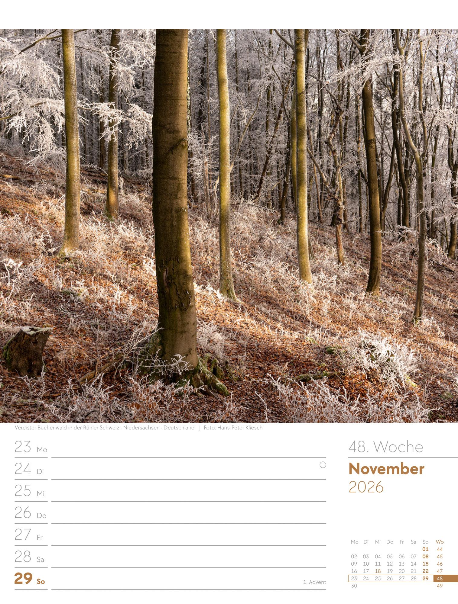 Beispielinhalt (Bild) Unser Wald Wochenplaner Kalender 2026