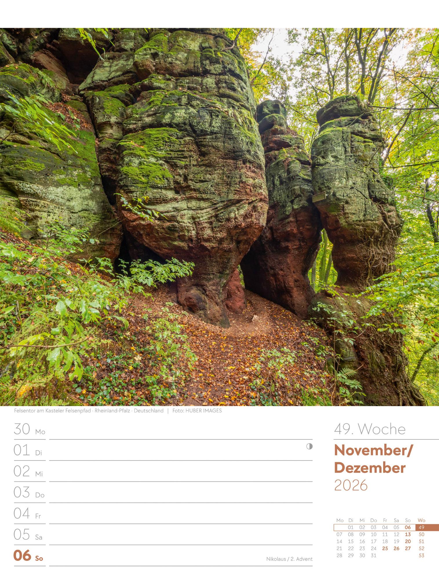 Beispielinhalt (Bild) Unser Wald Wochenplaner Kalender 2026