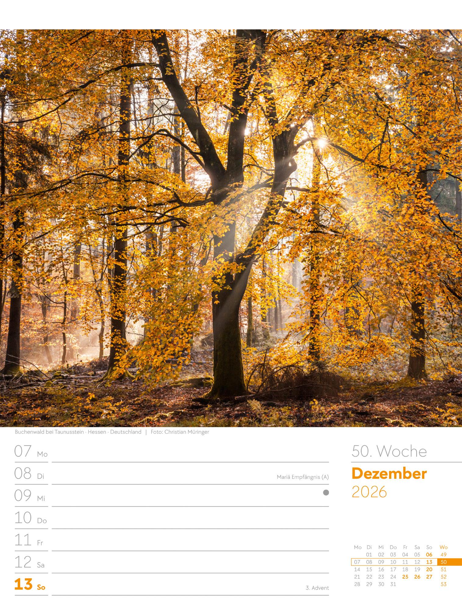 Beispielinhalt (Bild) Unser Wald Wochenplaner Kalender 2026