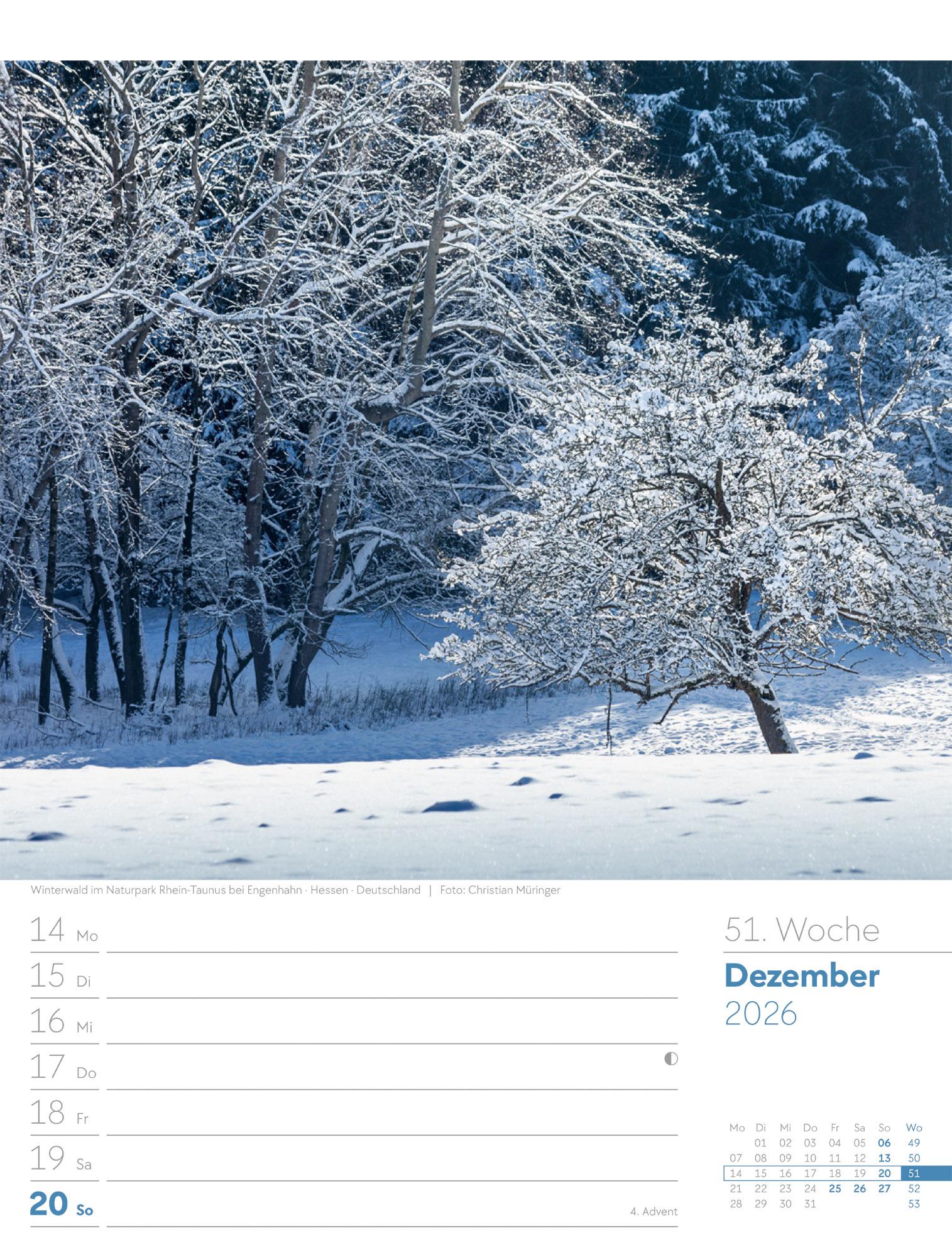 Beispielinhalt (Bild) Unser Wald Wochenplaner Kalender 2026