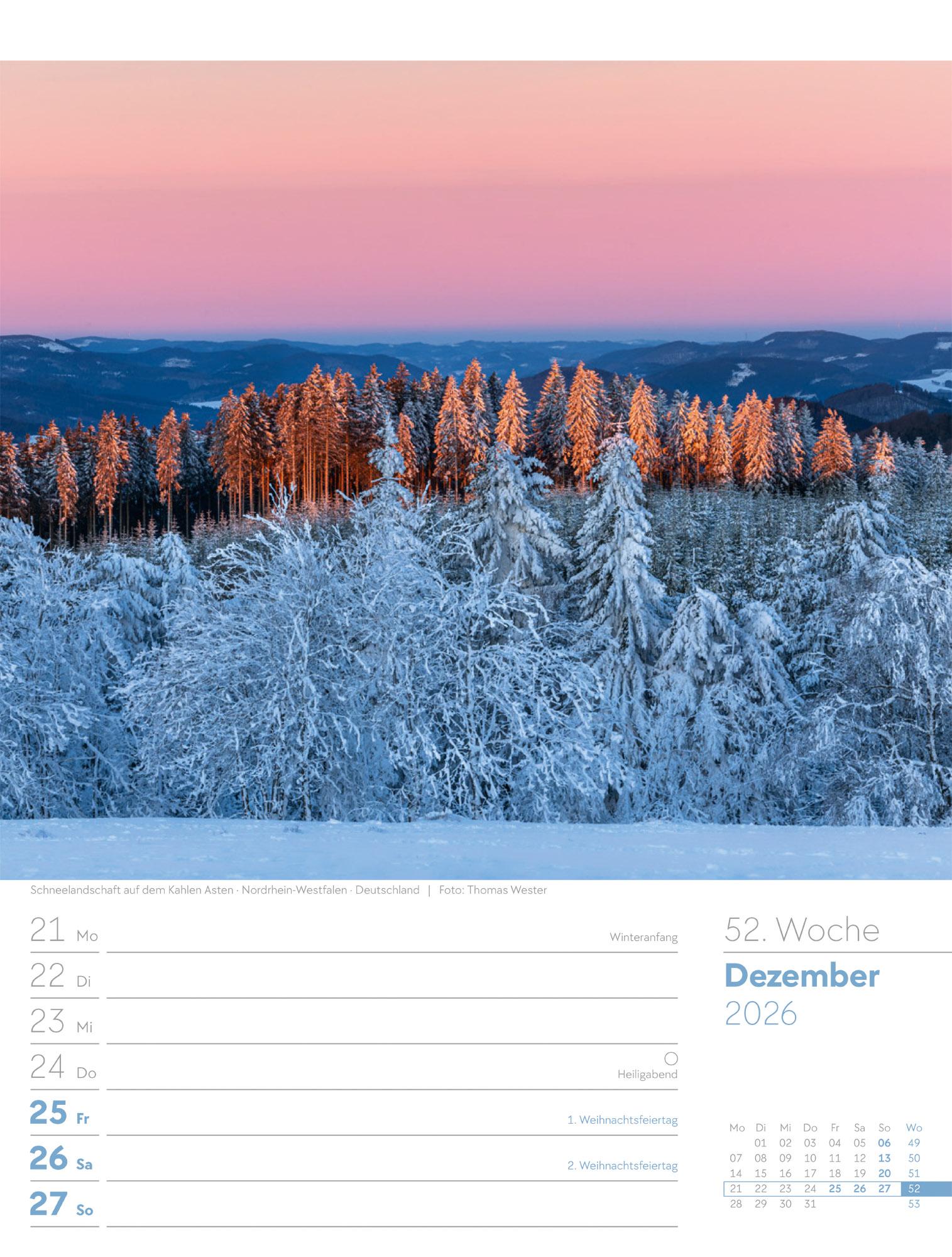 Beispielinhalt (Bild) Unser Wald Wochenplaner Kalender 2026