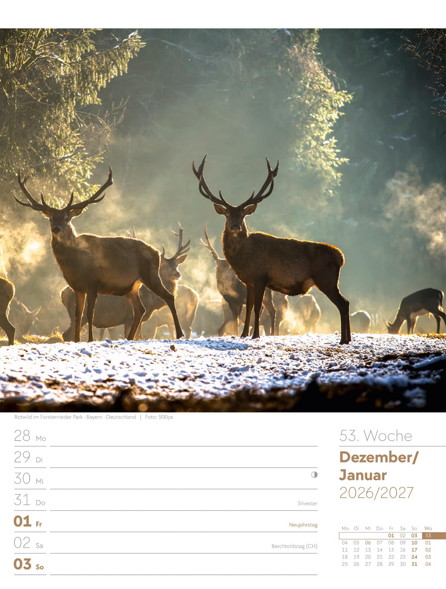 Beispielinhalt (Bild) Unser Wald Wochenplaner Kalender 2026