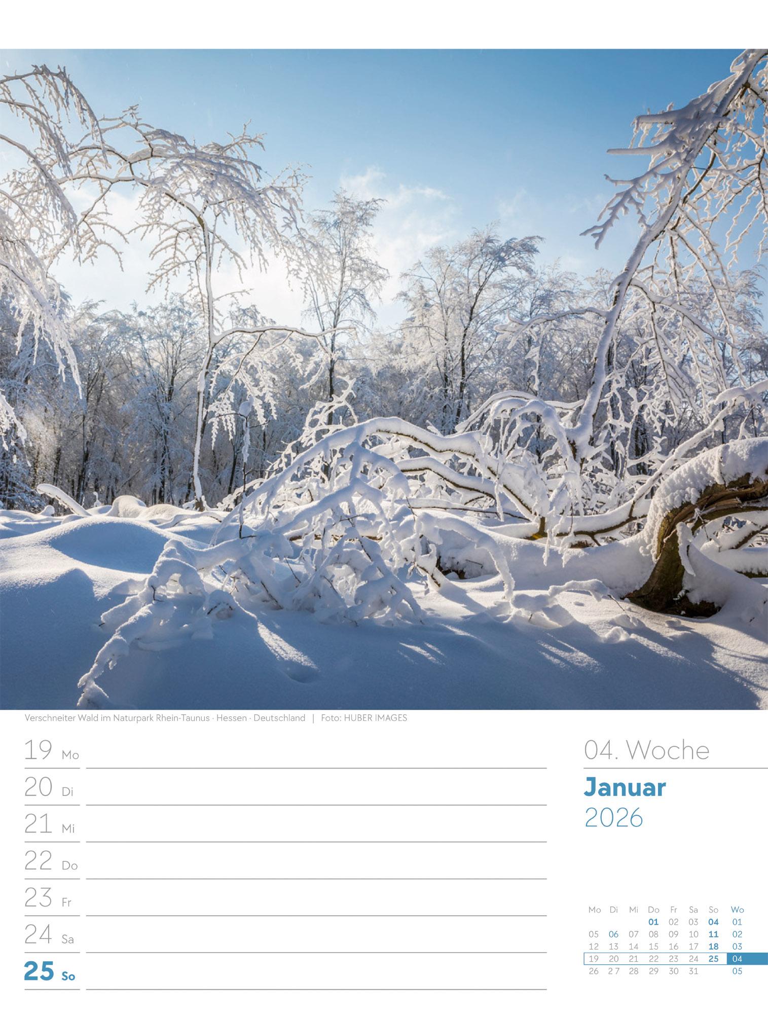 Beispielinhalt (Bild) Unser Wald Wochenplaner Kalender 2026