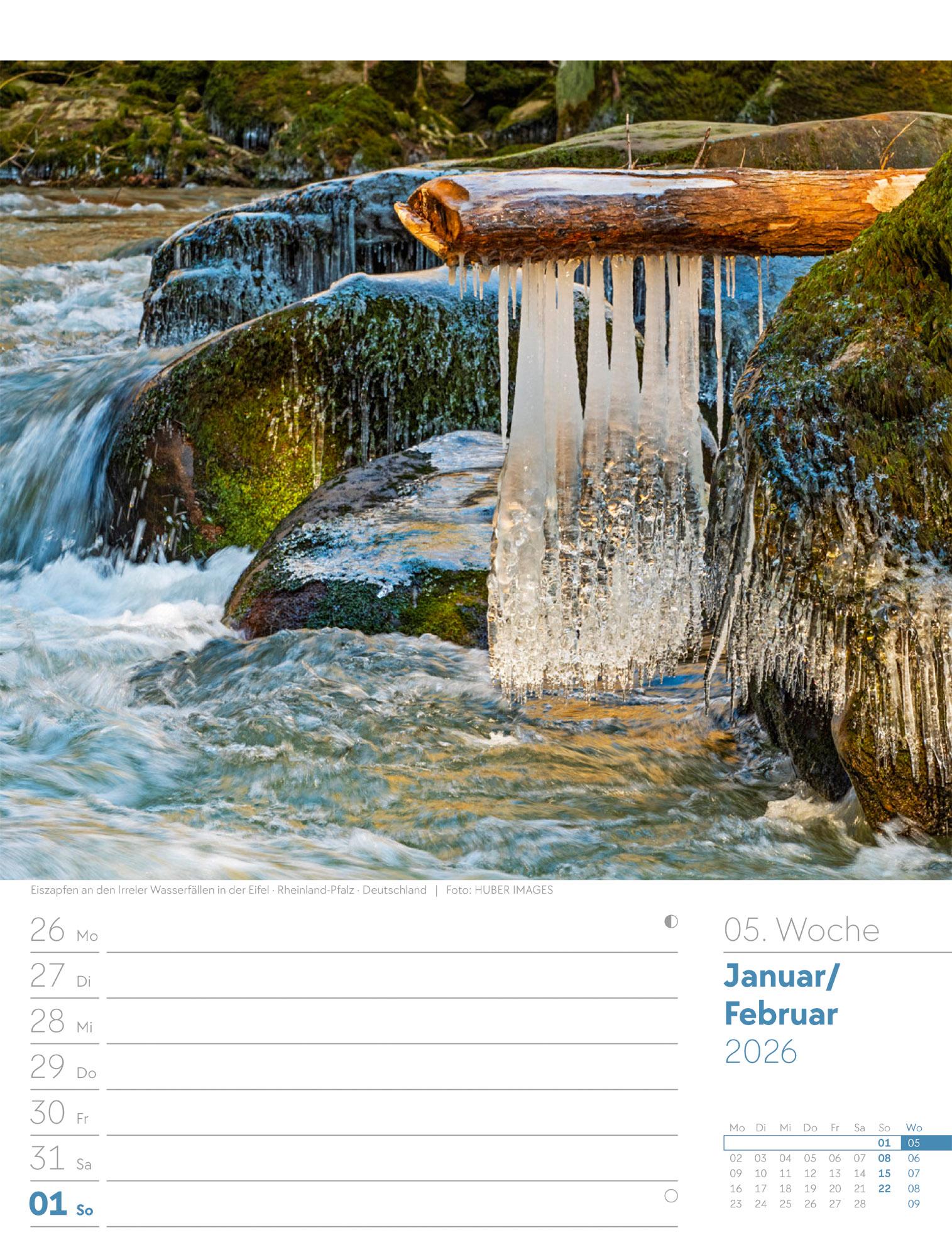 Beispielinhalt (Bild) Unser Wald Wochenplaner Kalender 2026