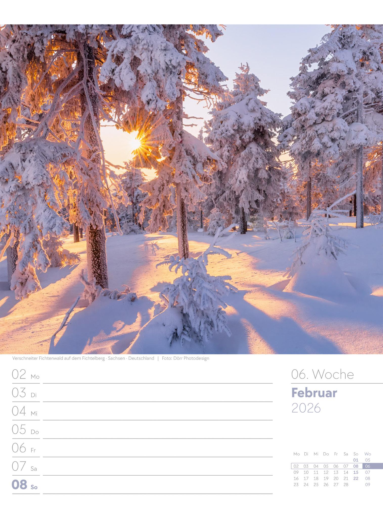 Beispielinhalt (Bild) Unser Wald Wochenplaner Kalender 2026