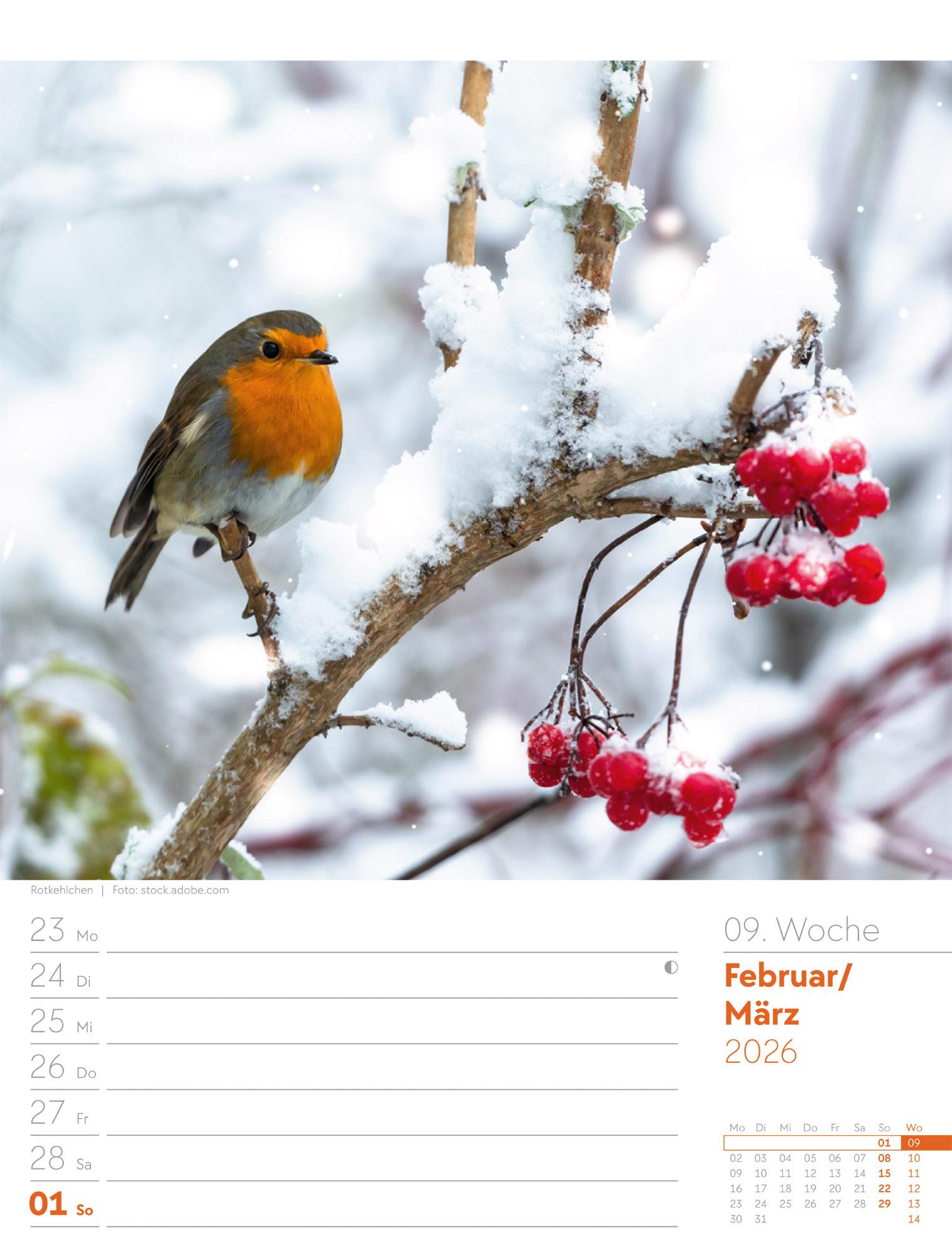 Beispielinhalt (Bild) Unser Wald Wochenplaner Kalender 2026